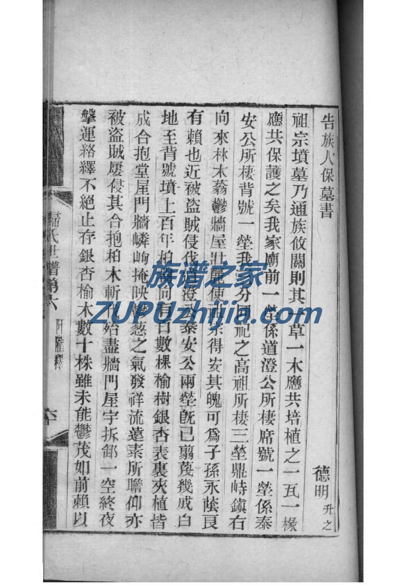 斋姓排辈顺序