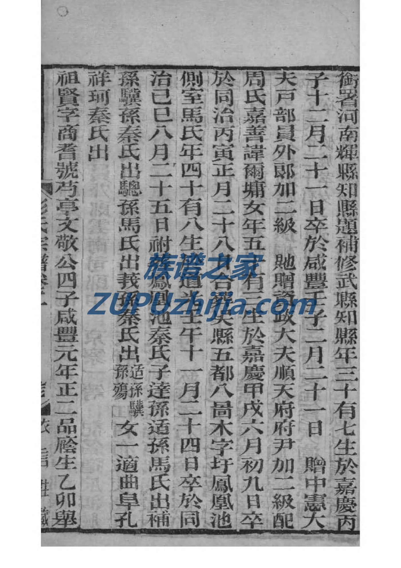 孙姓明星有哪些