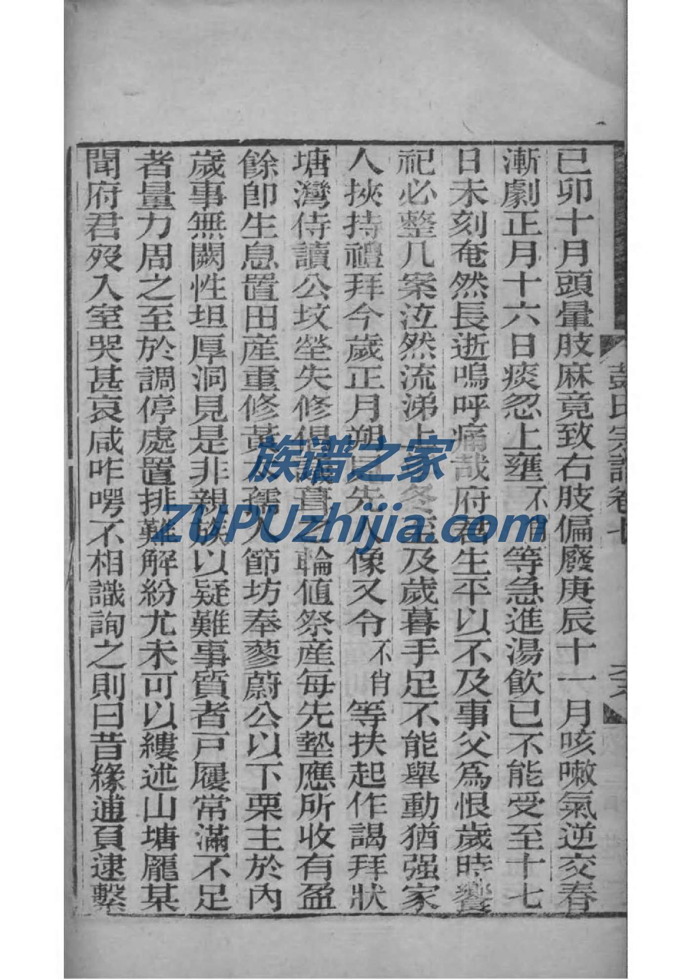 郎姓家谱辈分表