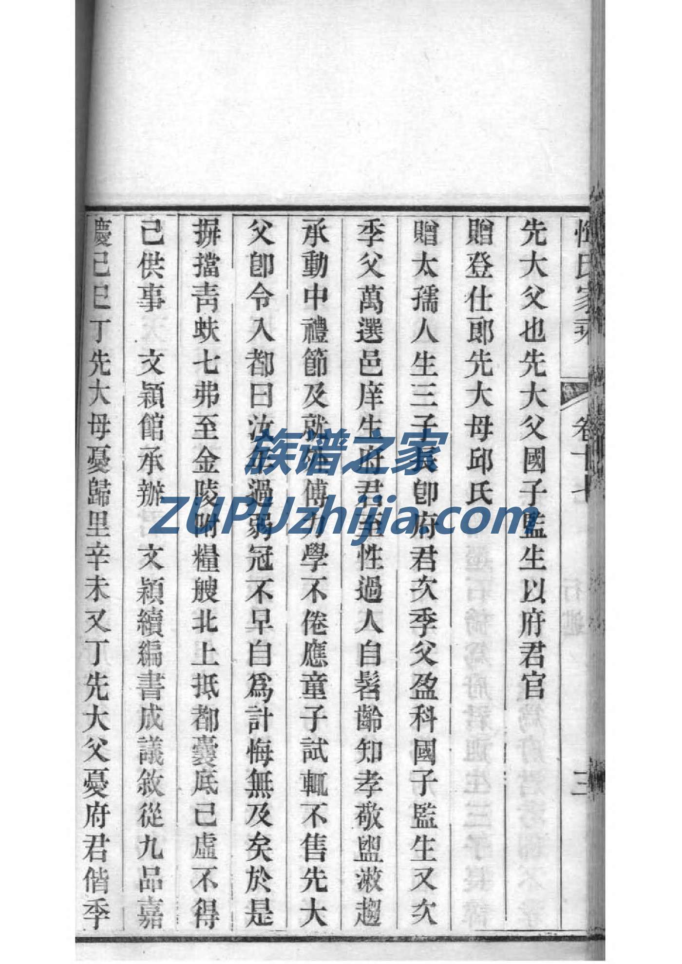 胡氏家谱世系图