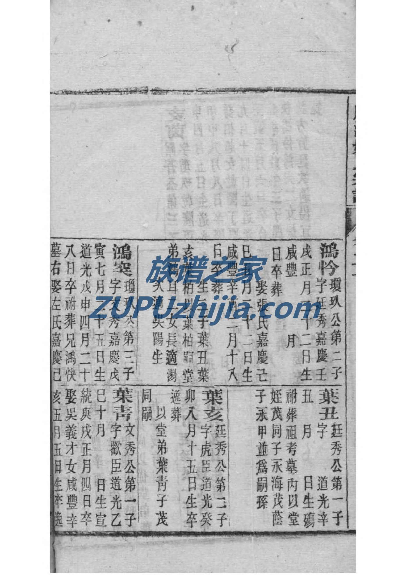 宏姓的姓氏排名