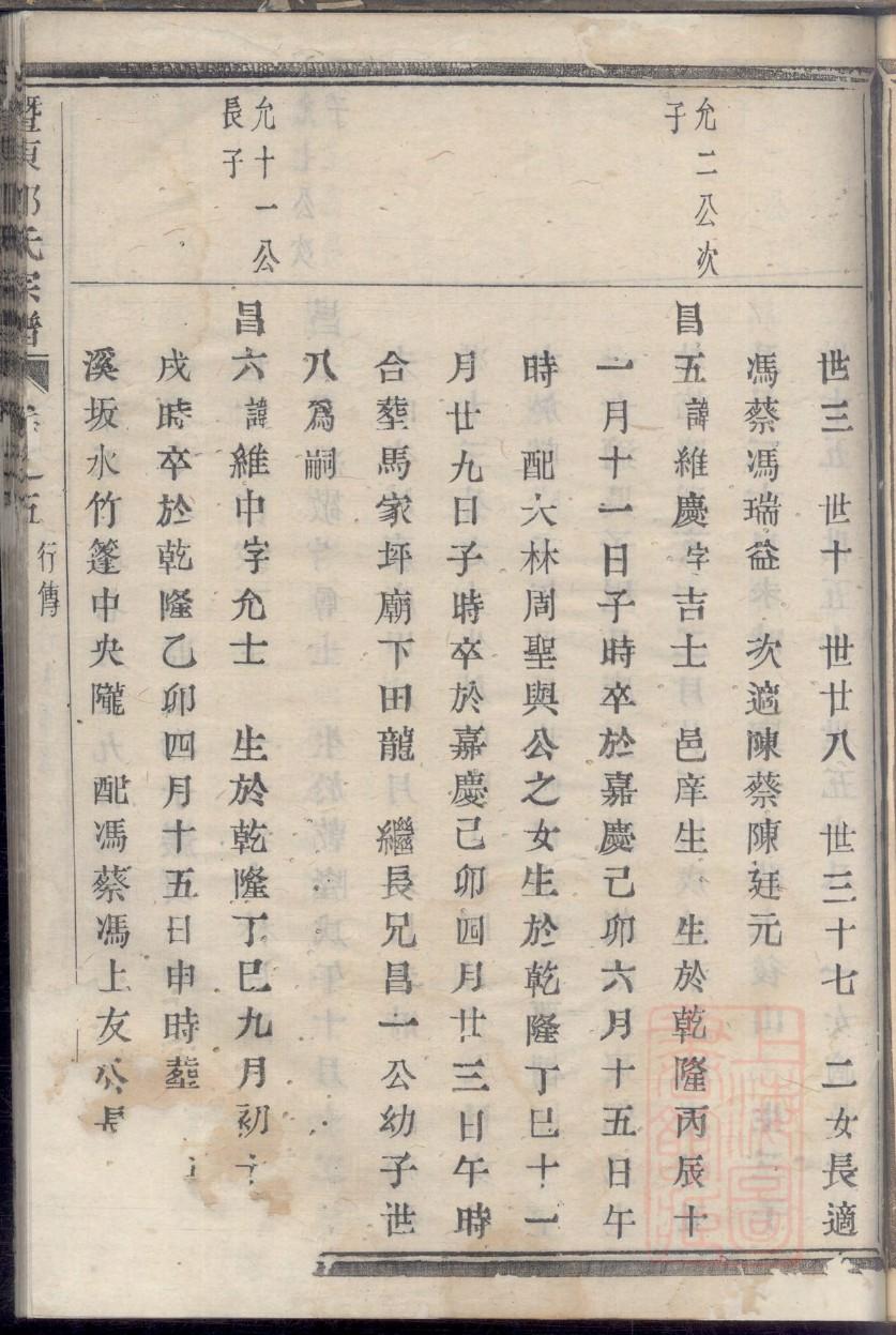 家谱制作树状图