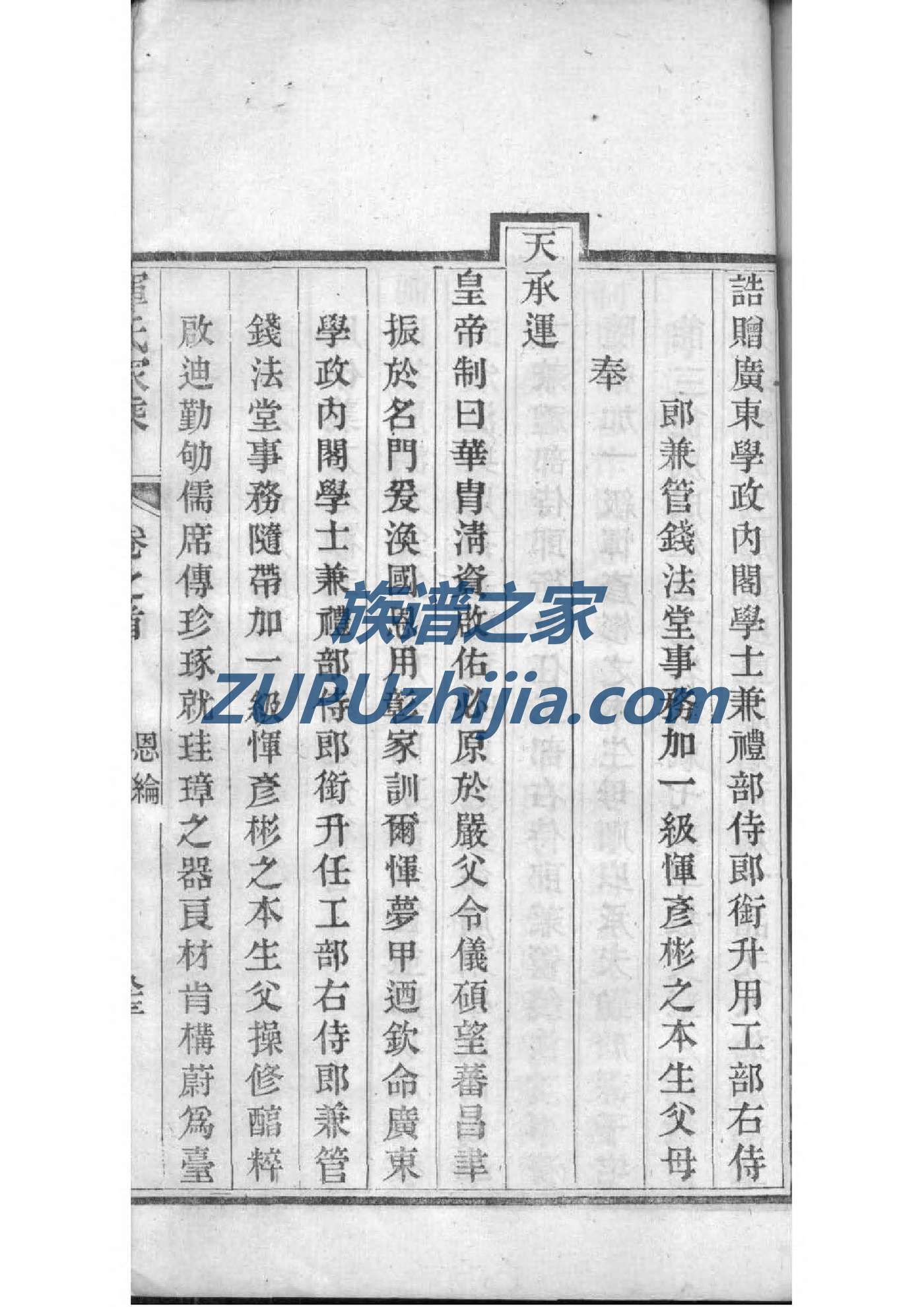 族谱家谱制作模板