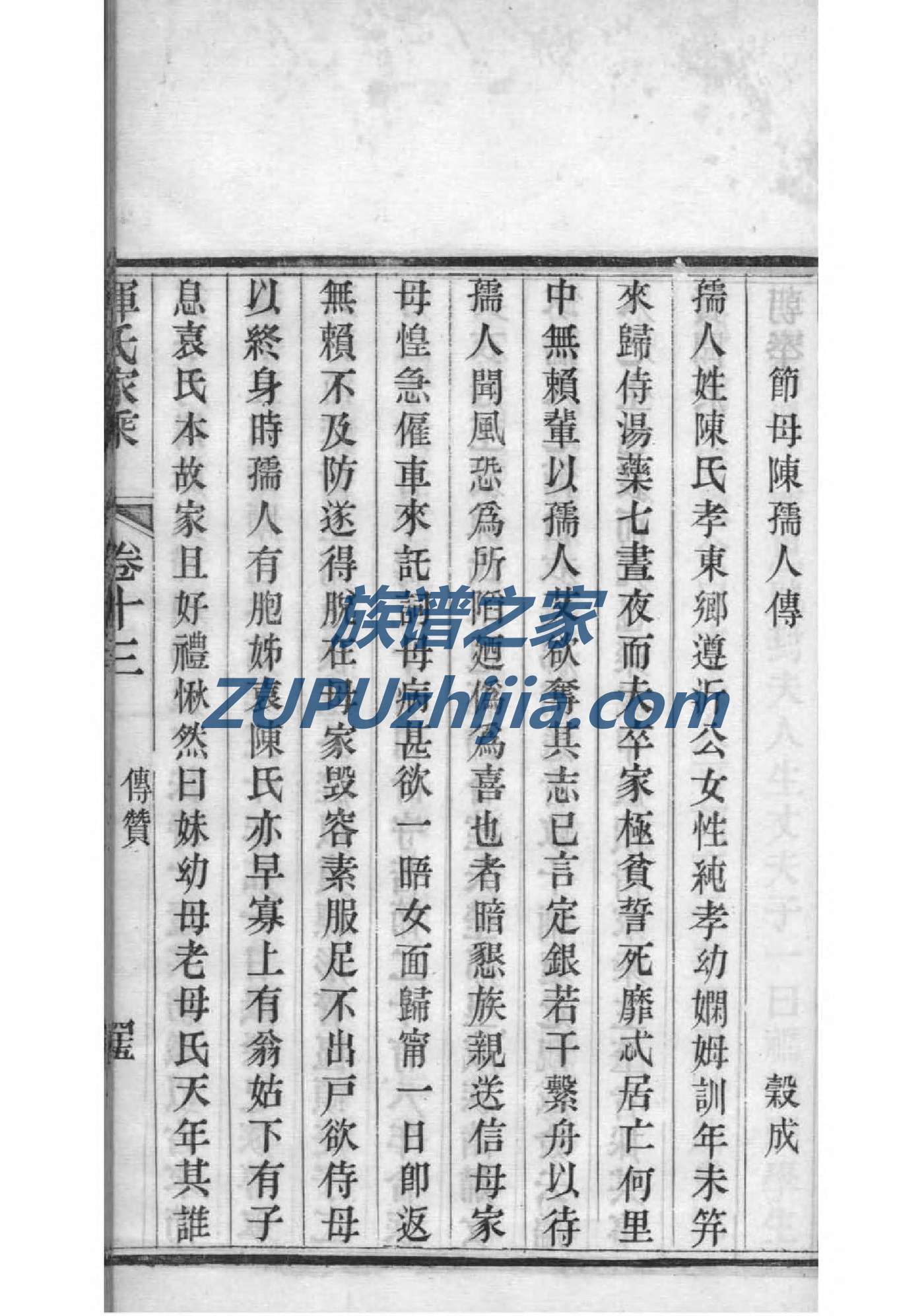 族谱在线APP