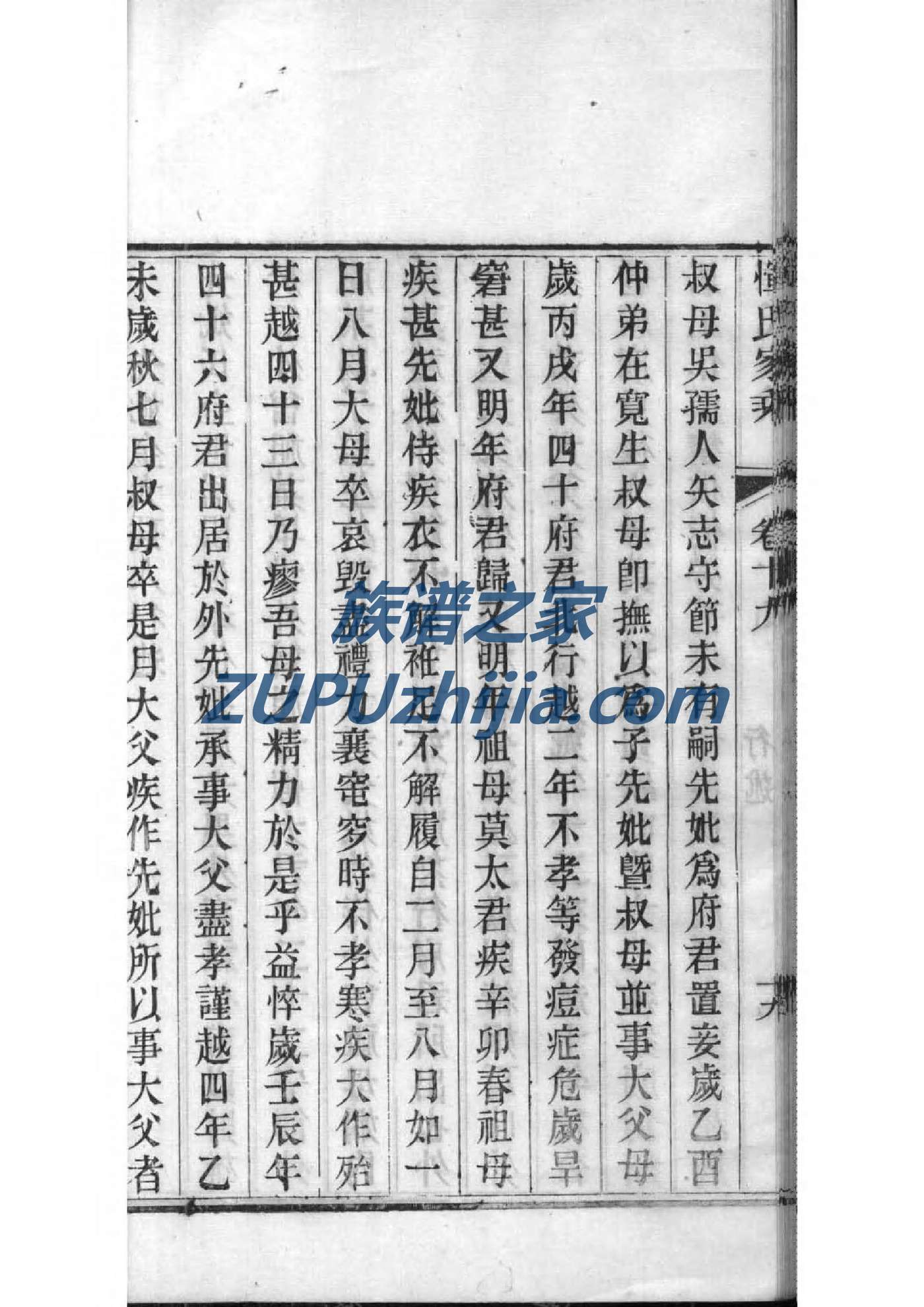 赵氏家谱琴鹤堂