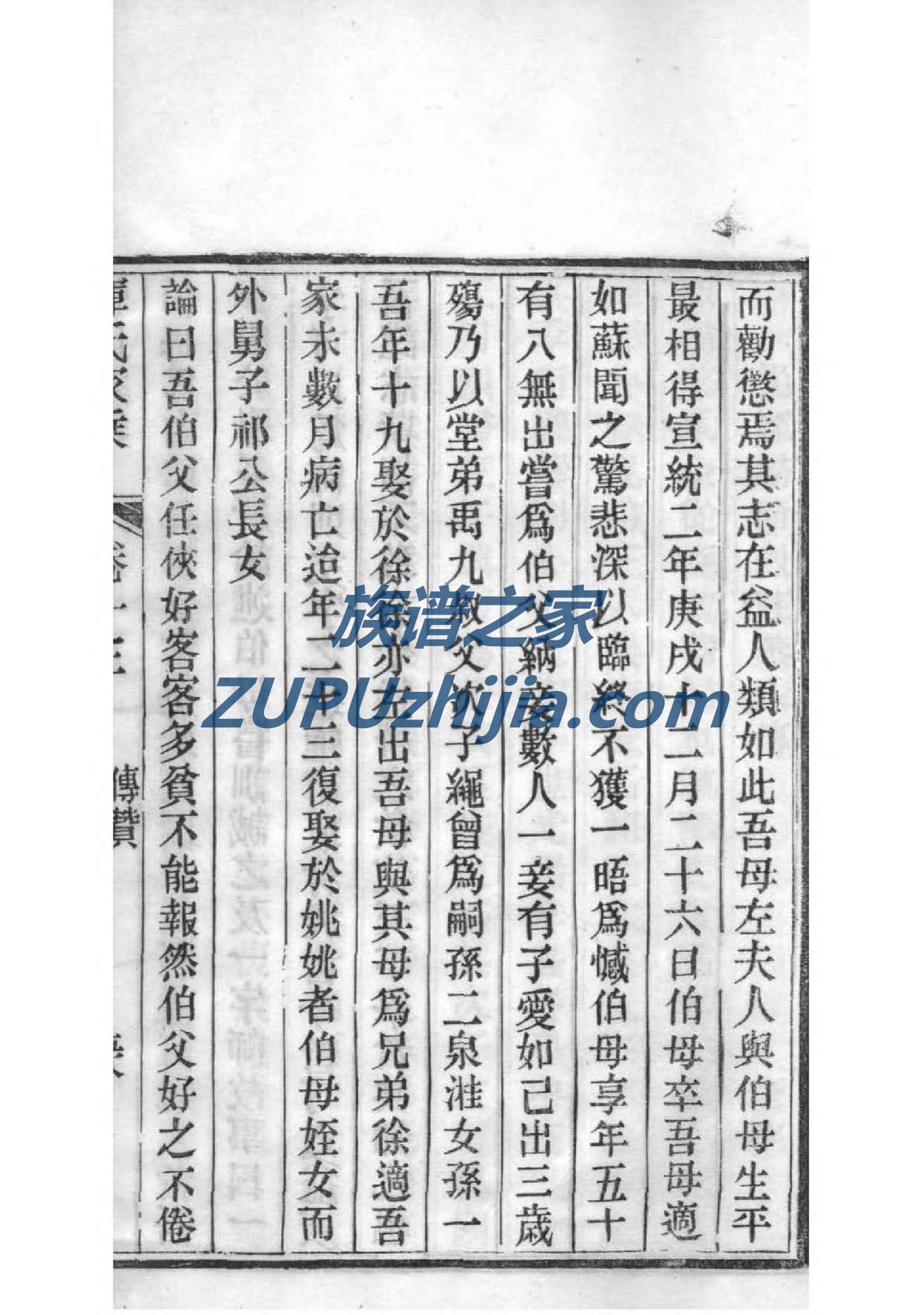 段氏家谱查询表