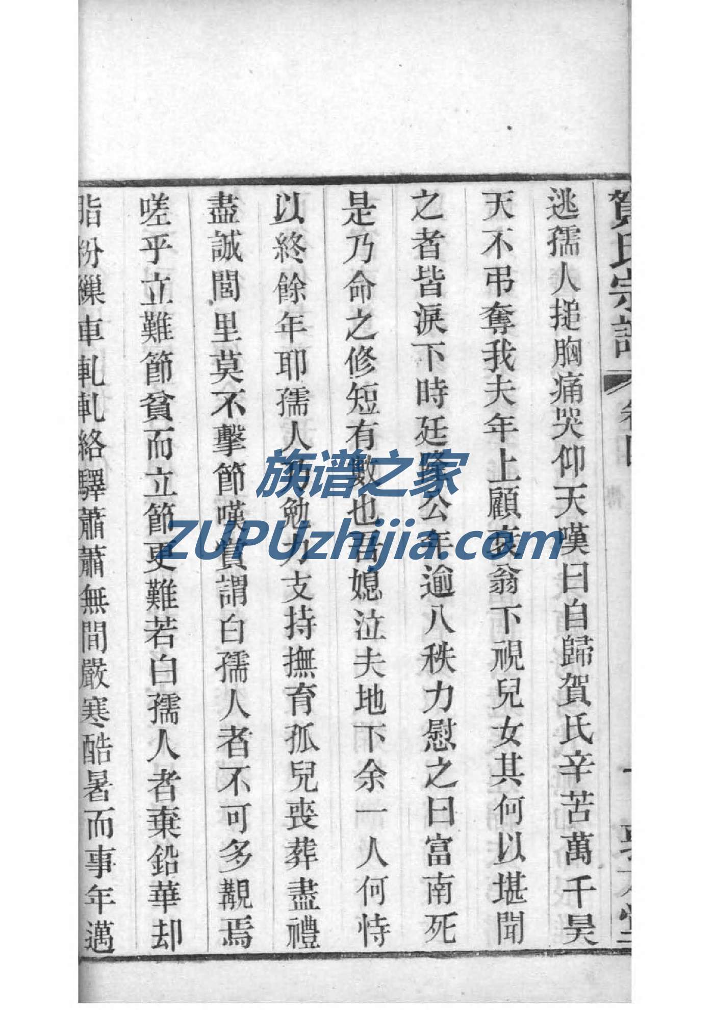 储氏族谱书籍购买