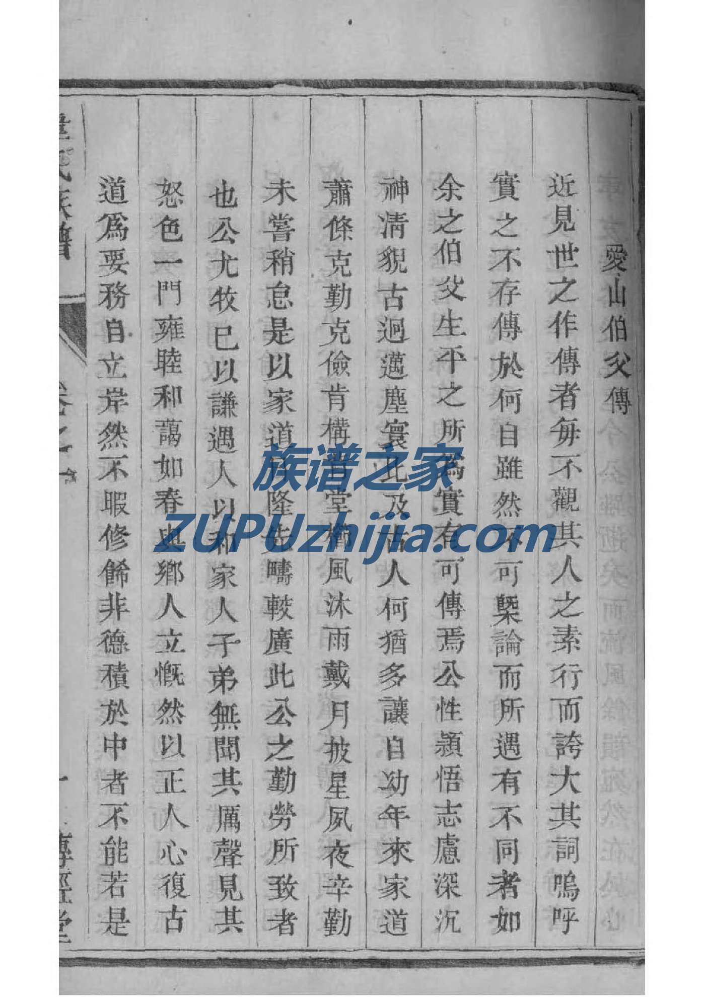 中华族谱网官网
