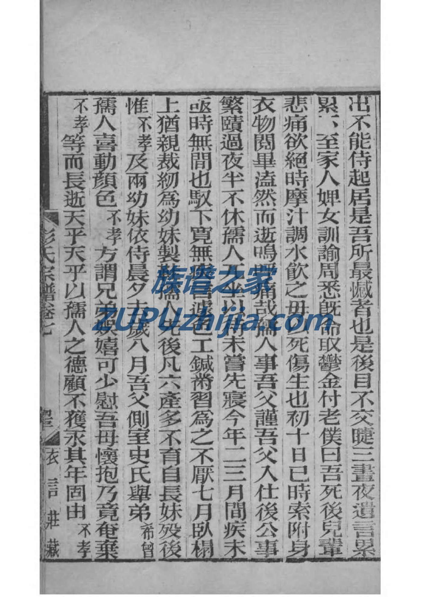 宗政氏族谱视频