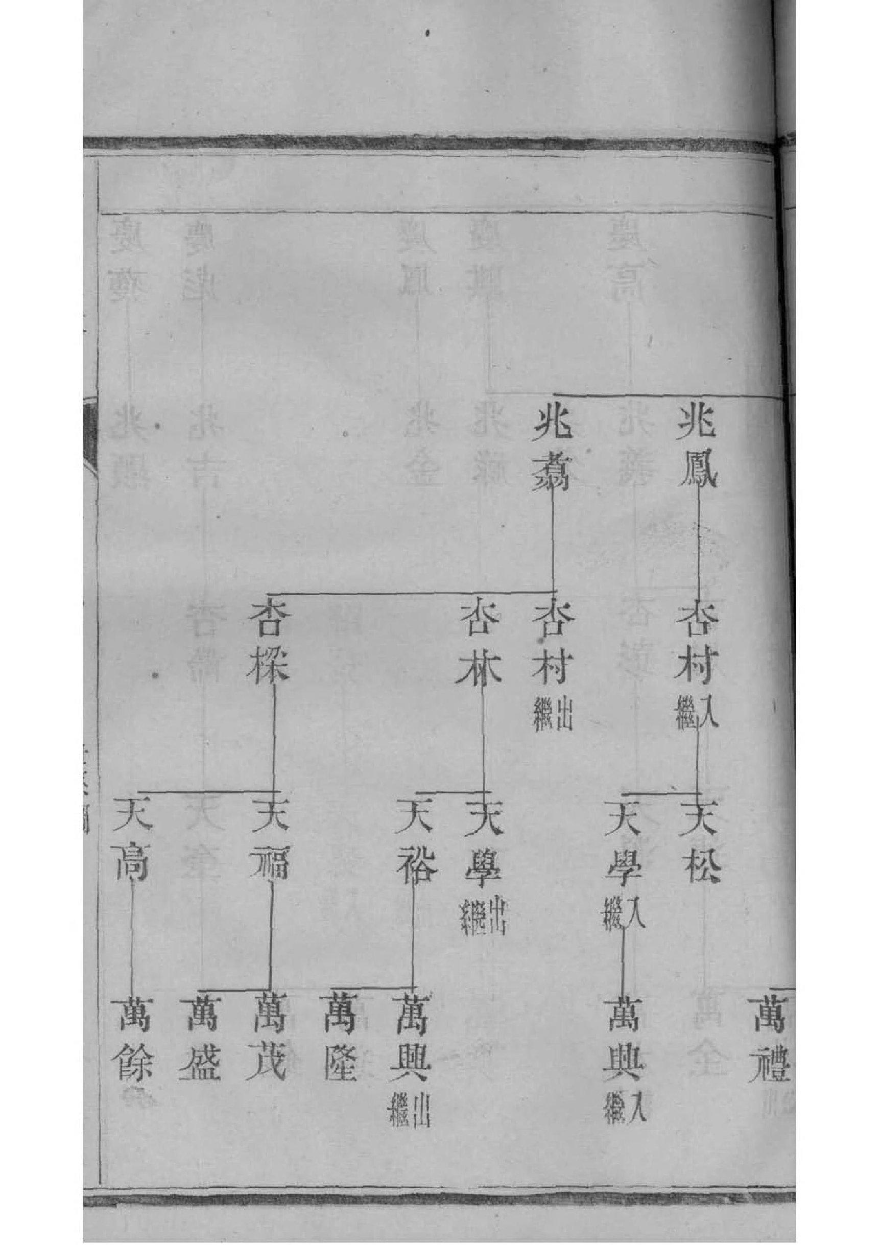 族谱网全媒体号