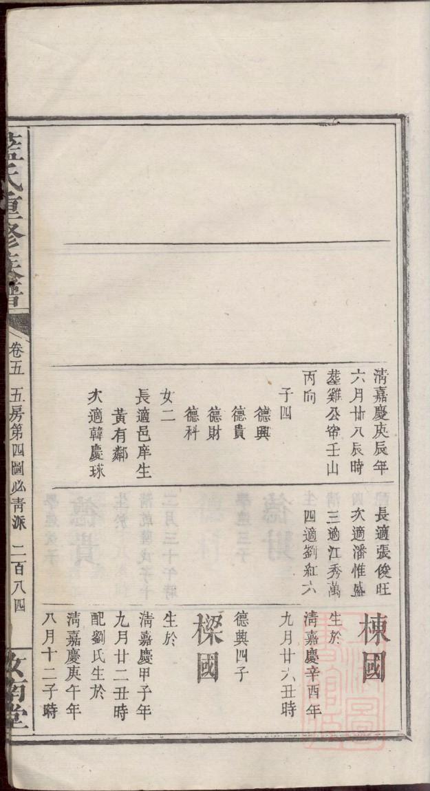 免费家谱制作模板下载