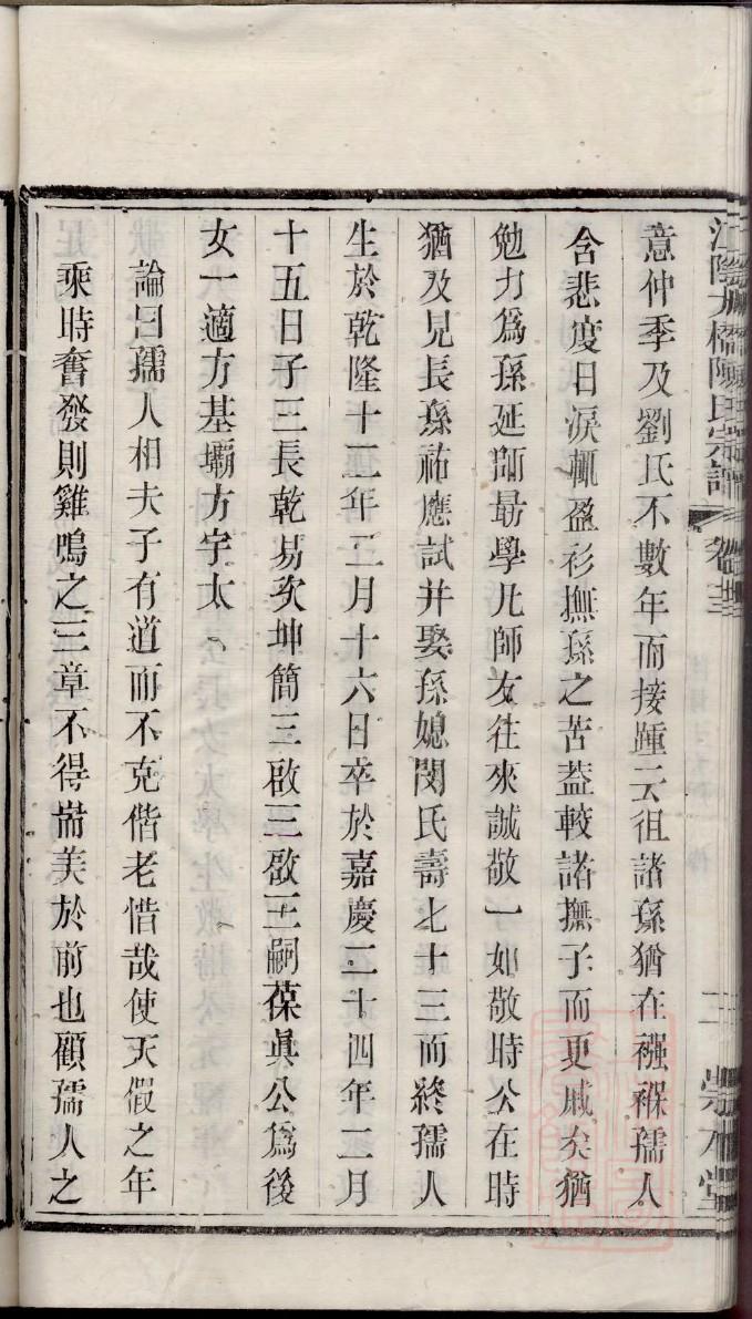 杨氏族谱分支