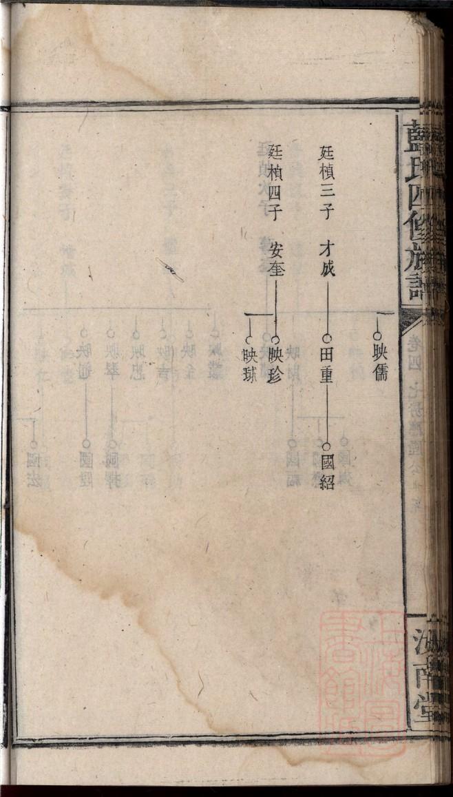 严氏家谱网