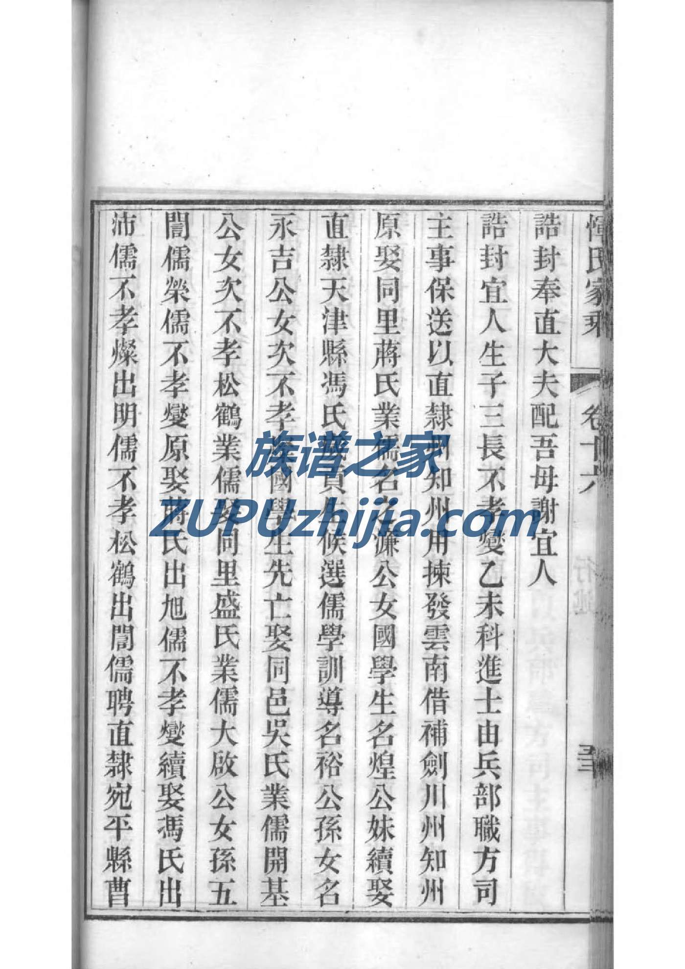 向家家谱查询