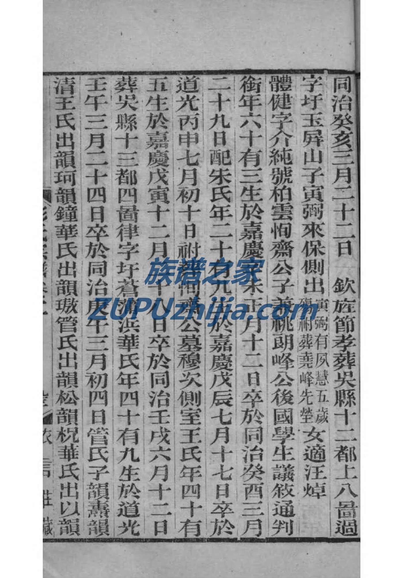 鲜于氏族谱的收藏价值