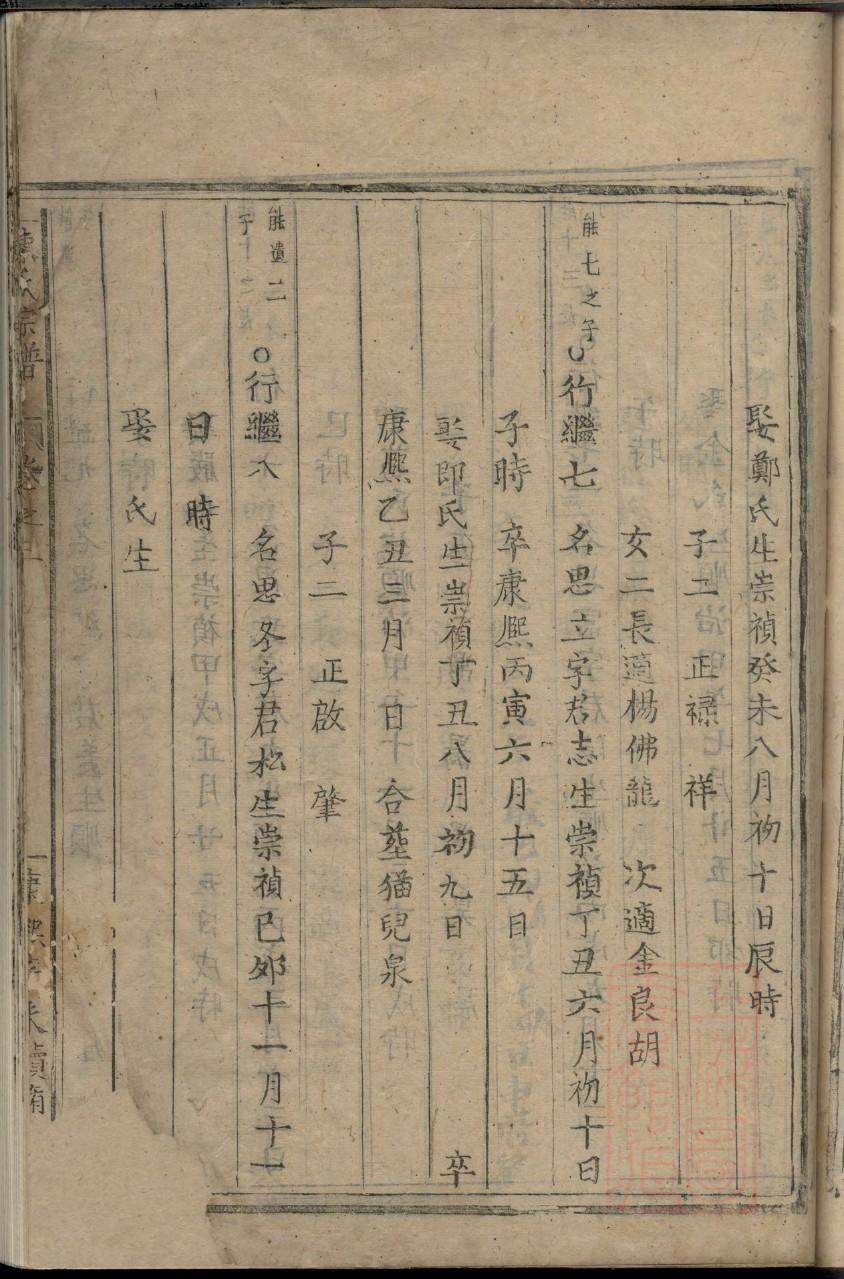 灰太狼族谱