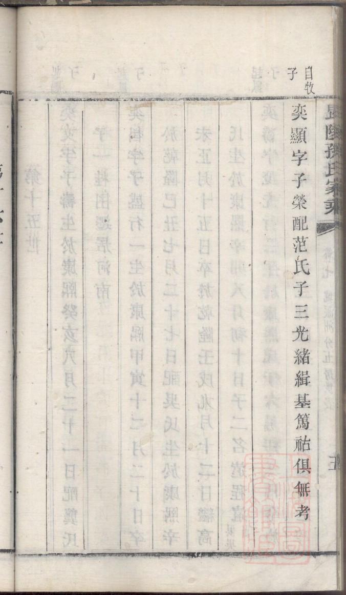 族谱家谱封面封底设计