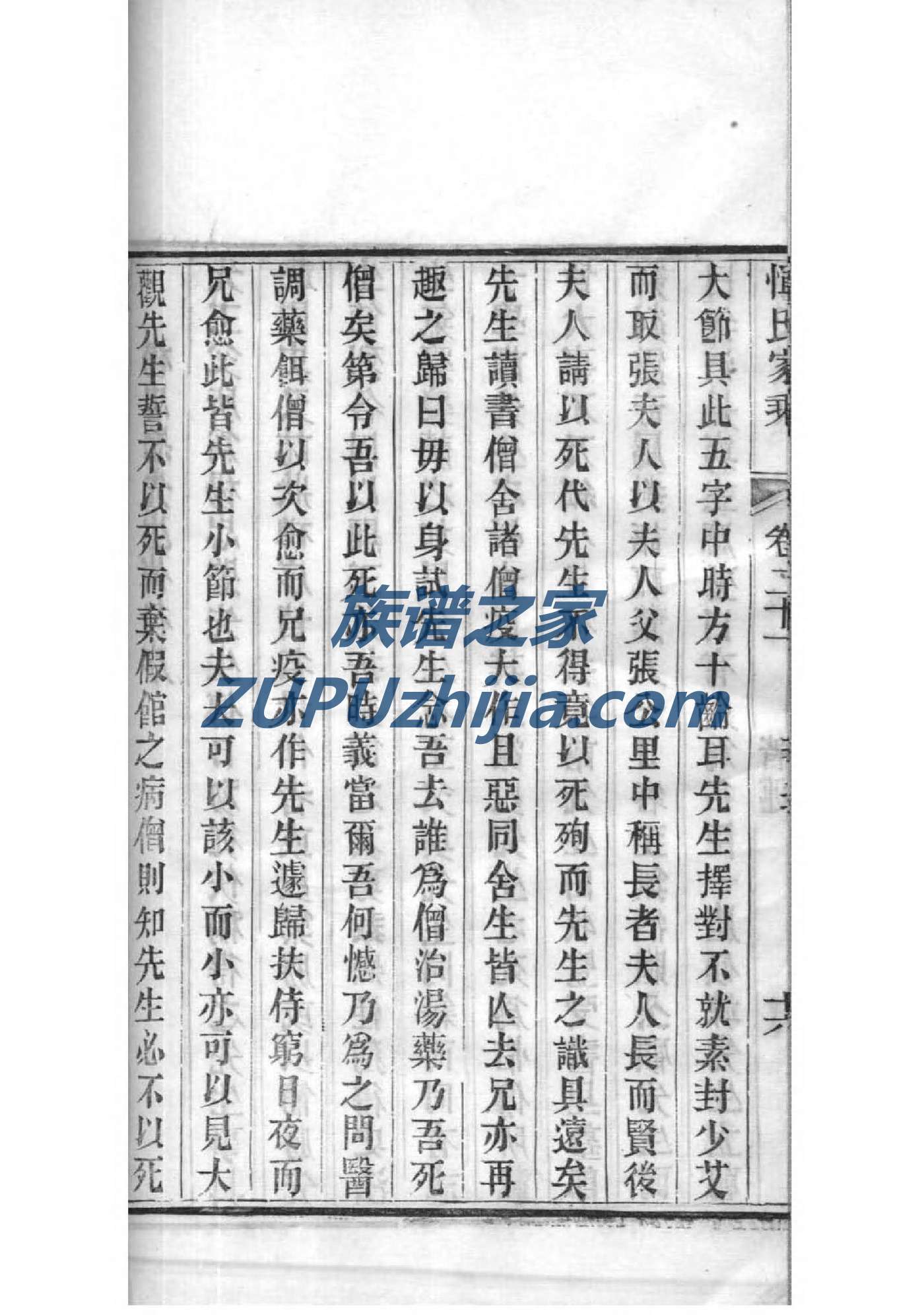 定氏家谱网