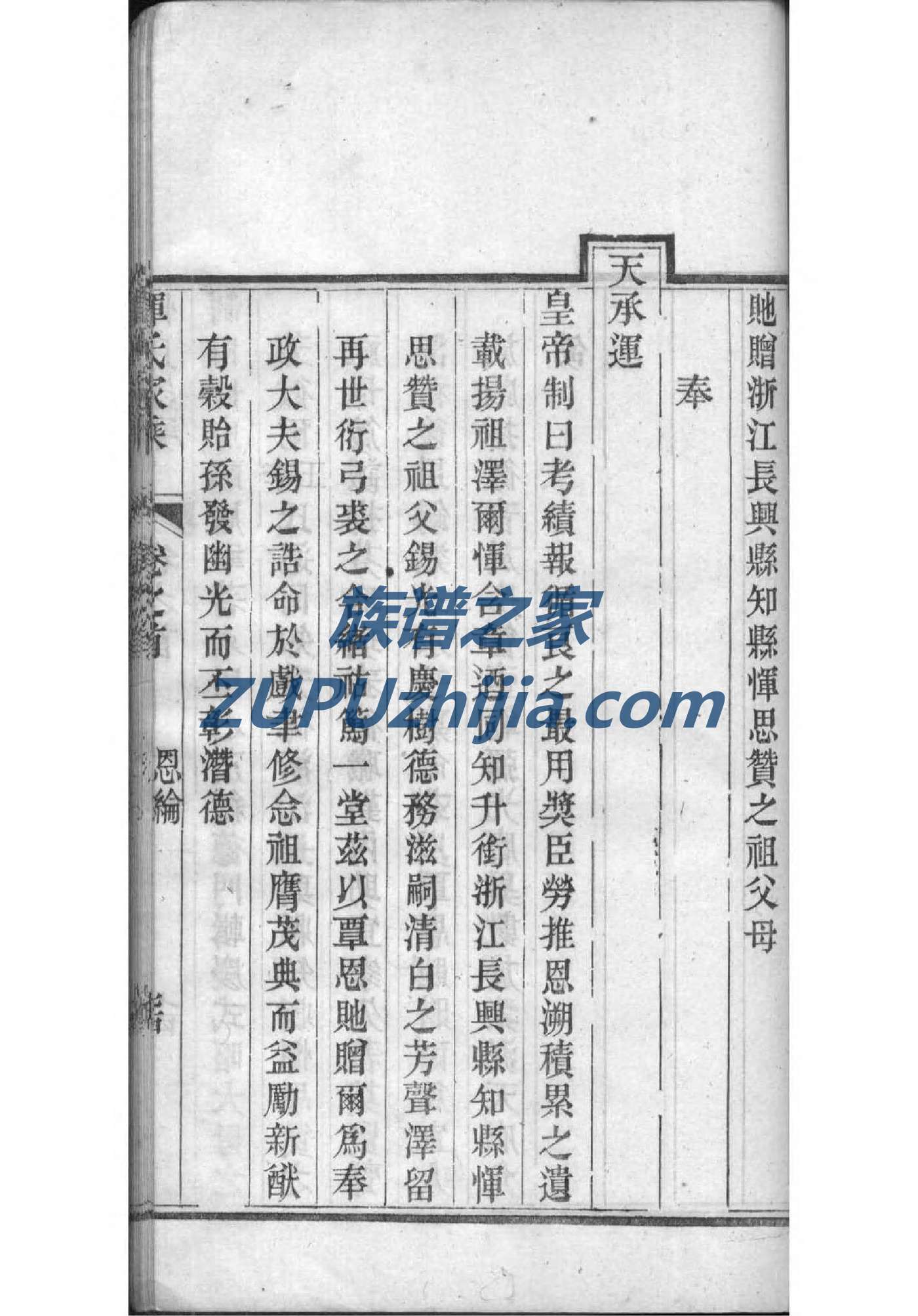 张家辈分族谱