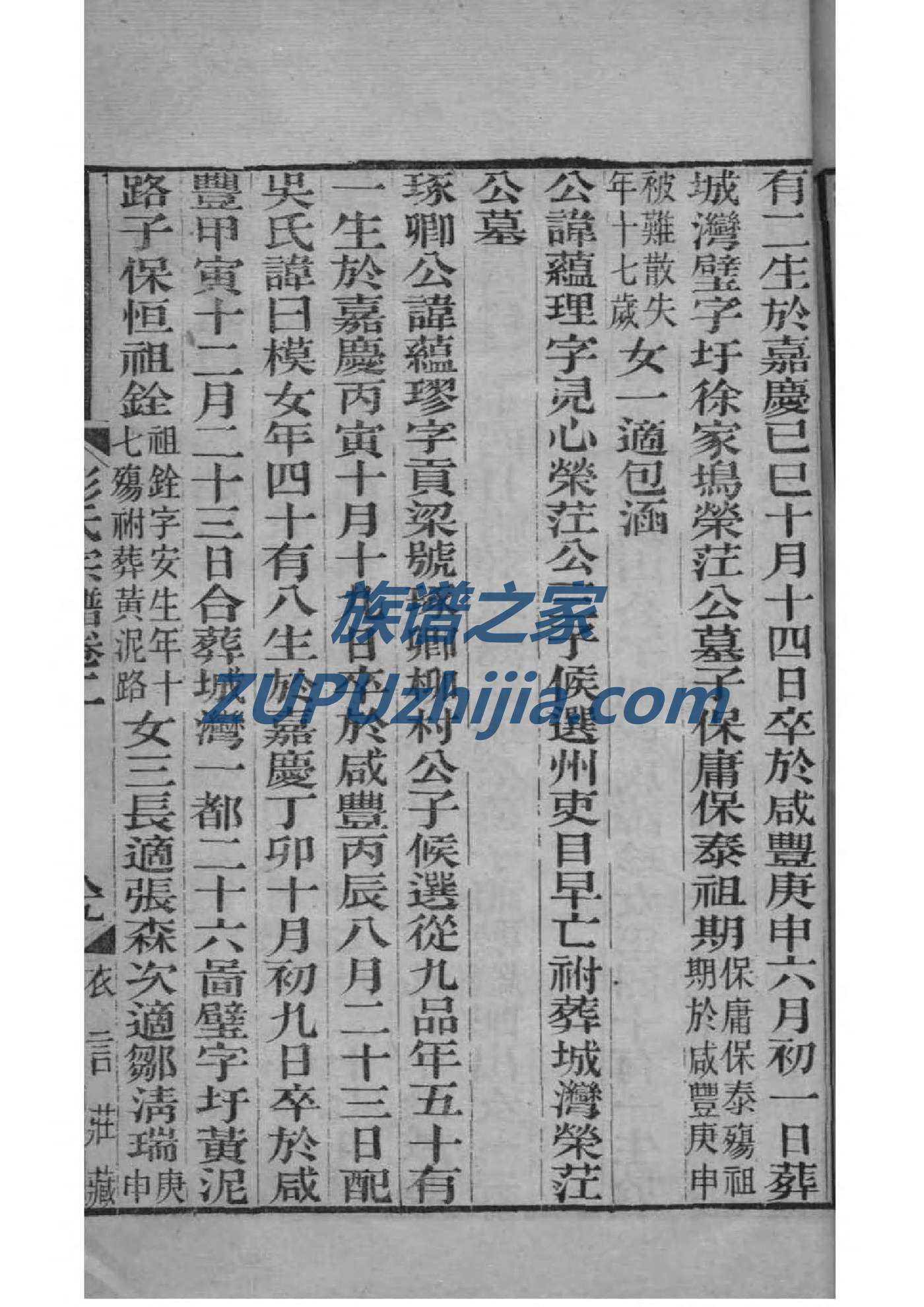 太叔家族谱查询