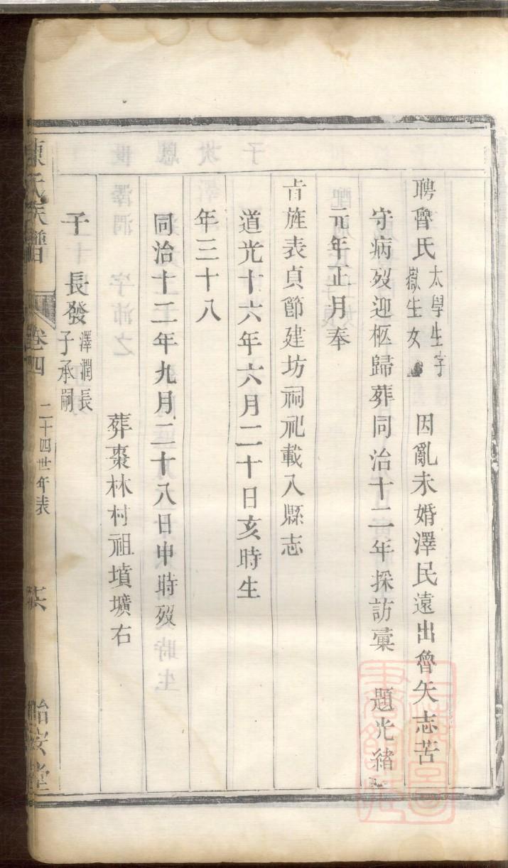 怎么制作家谱图