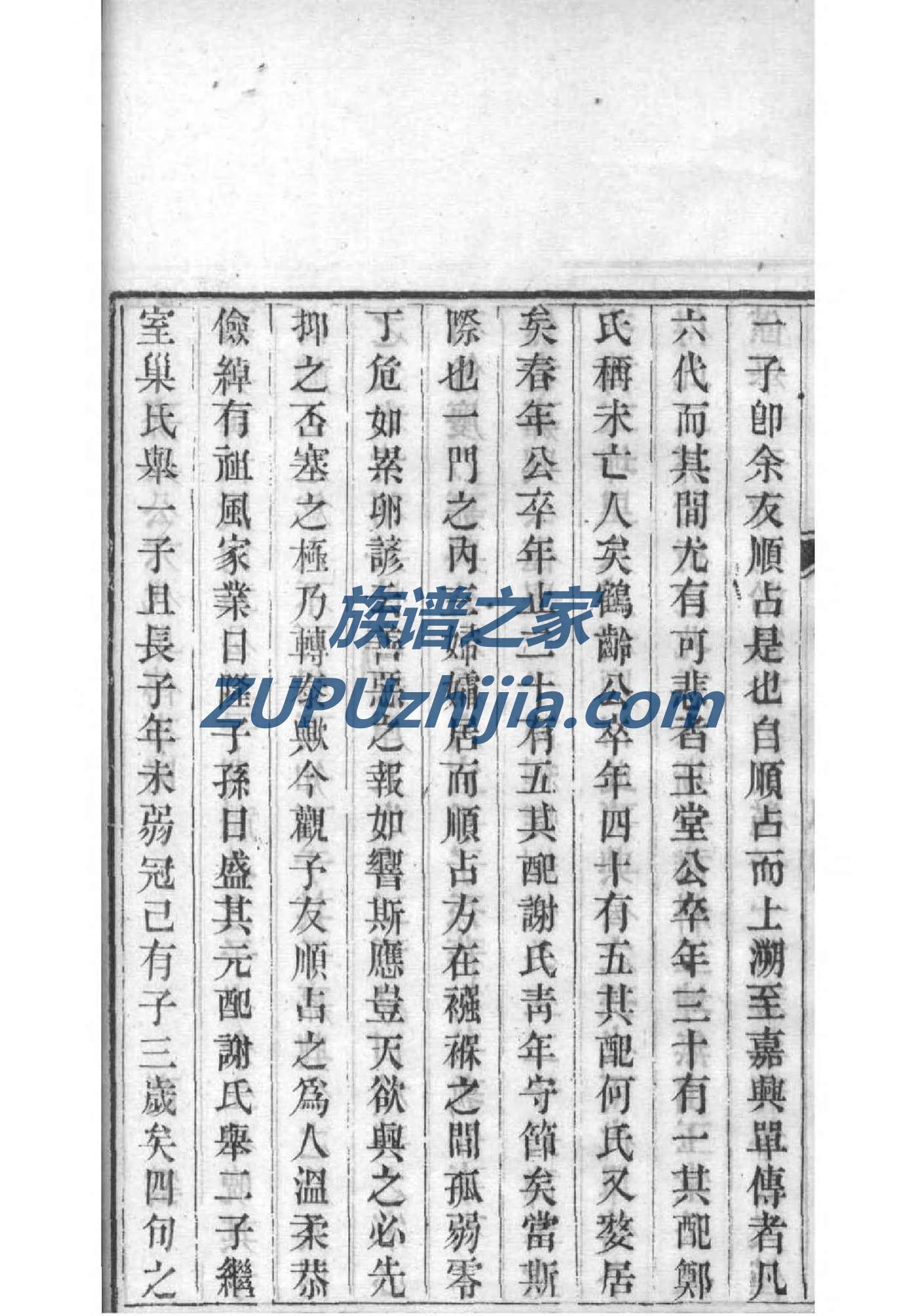 梁姓的来历
