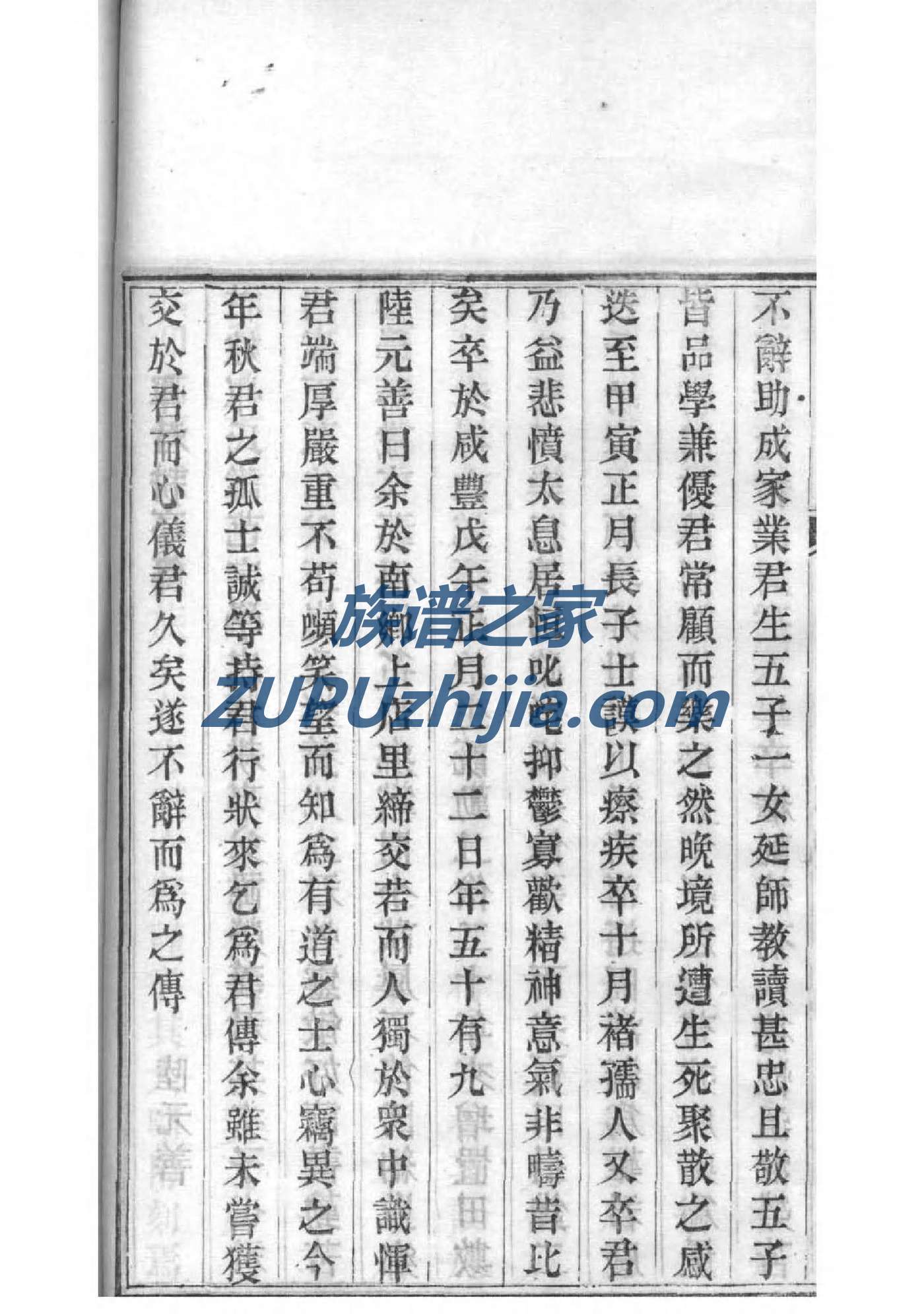 霍氏族谱完整版