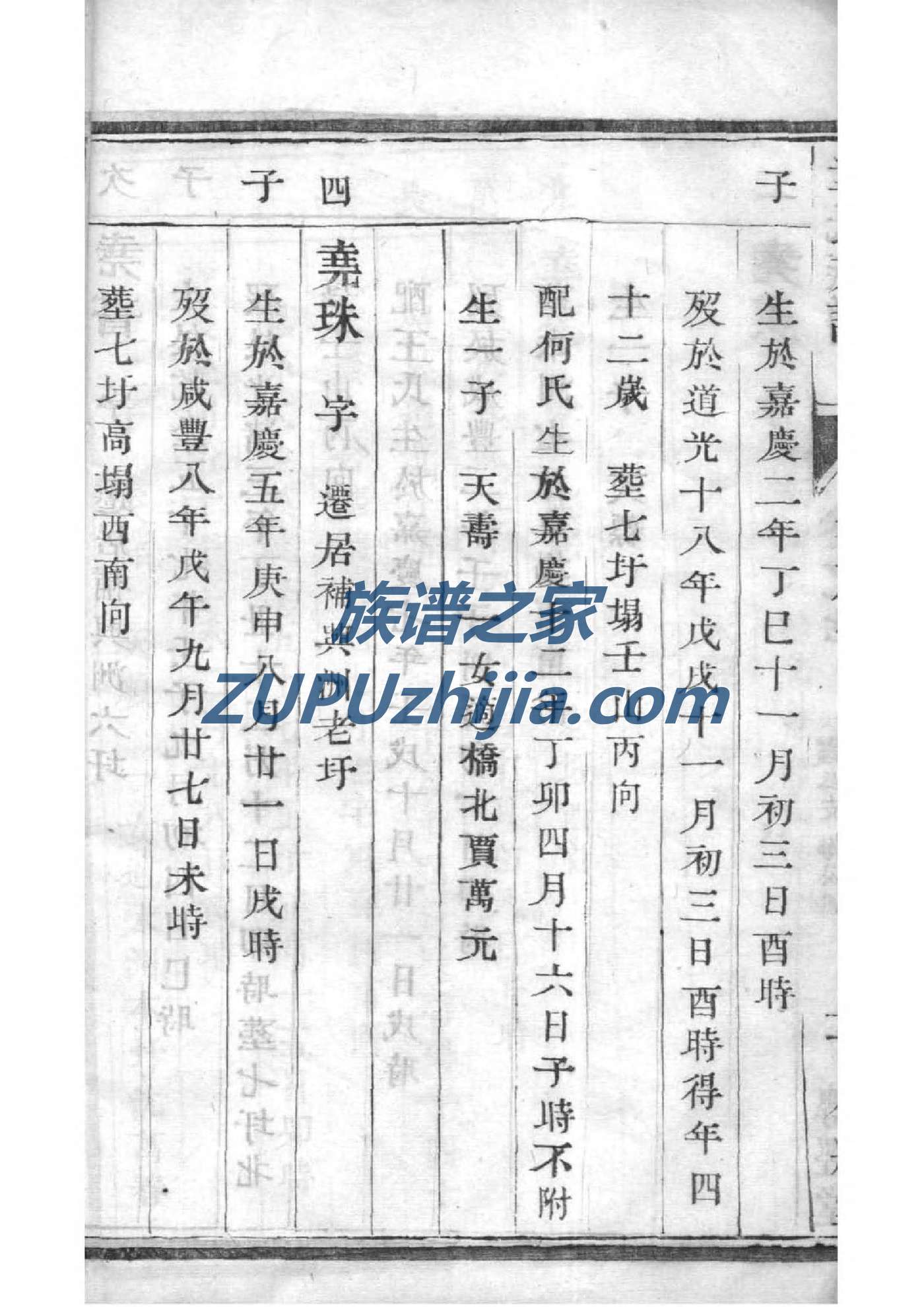 美国十大家族族谱