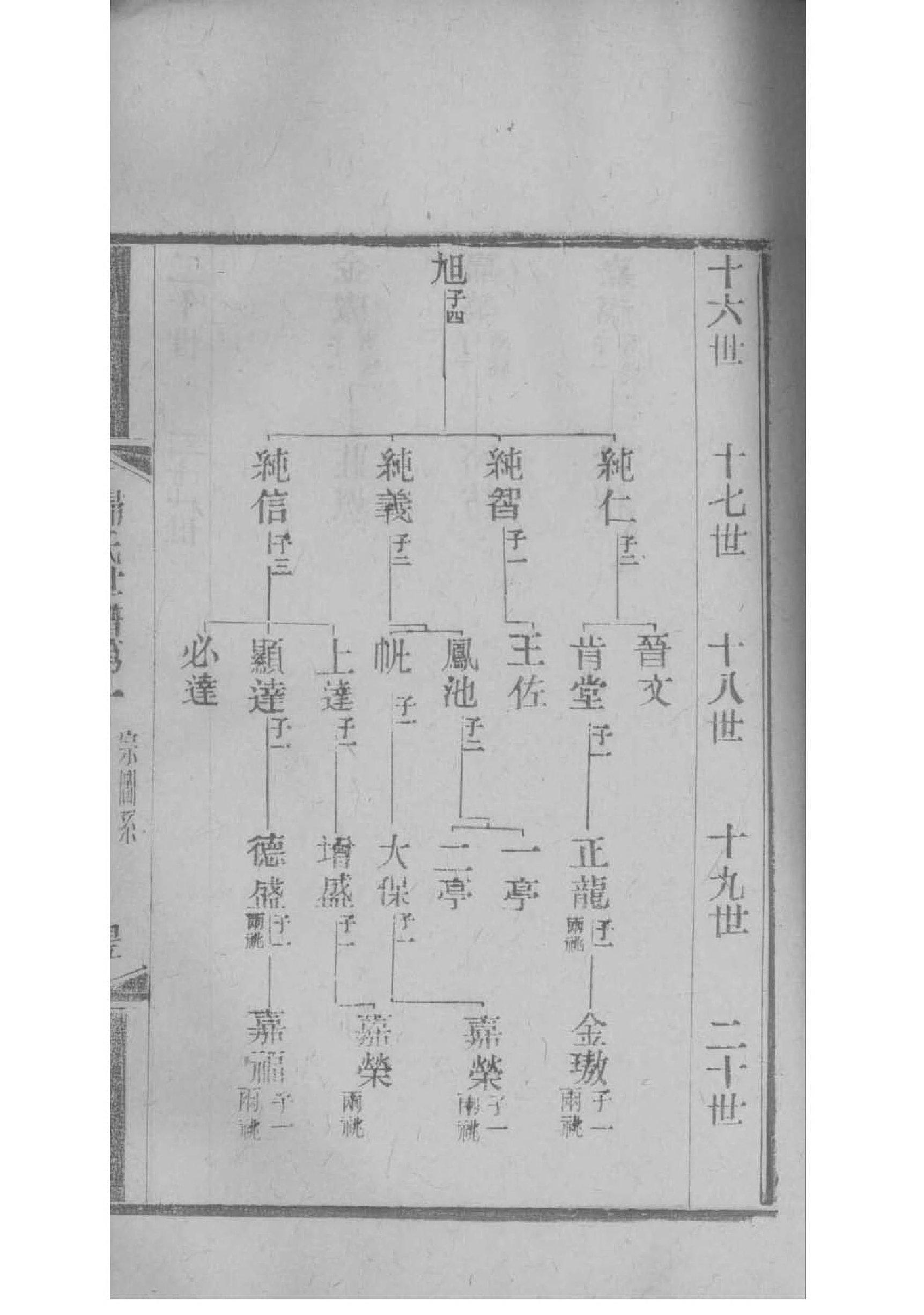 英文家庭族谱