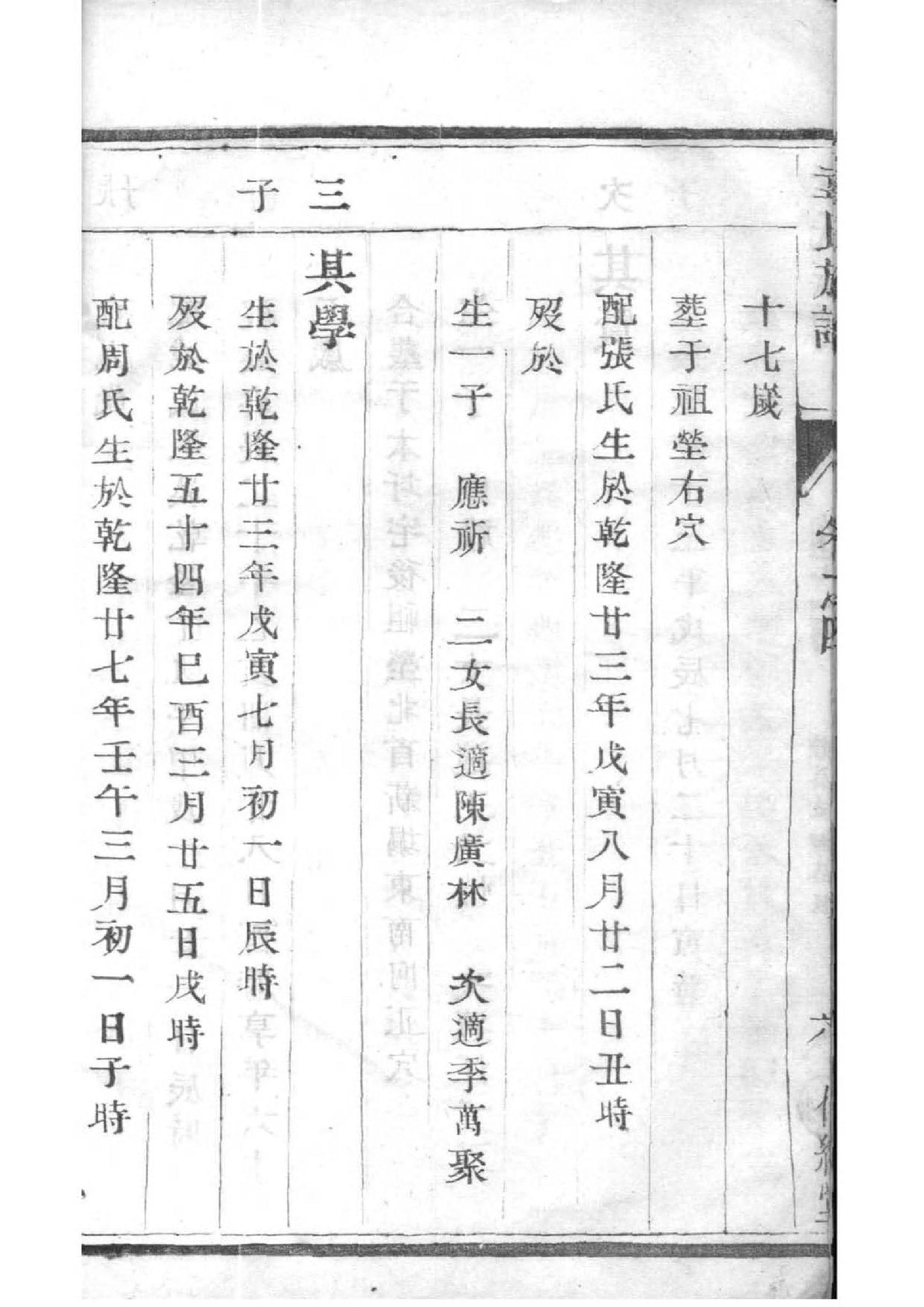 家谱制作模板EXCEL