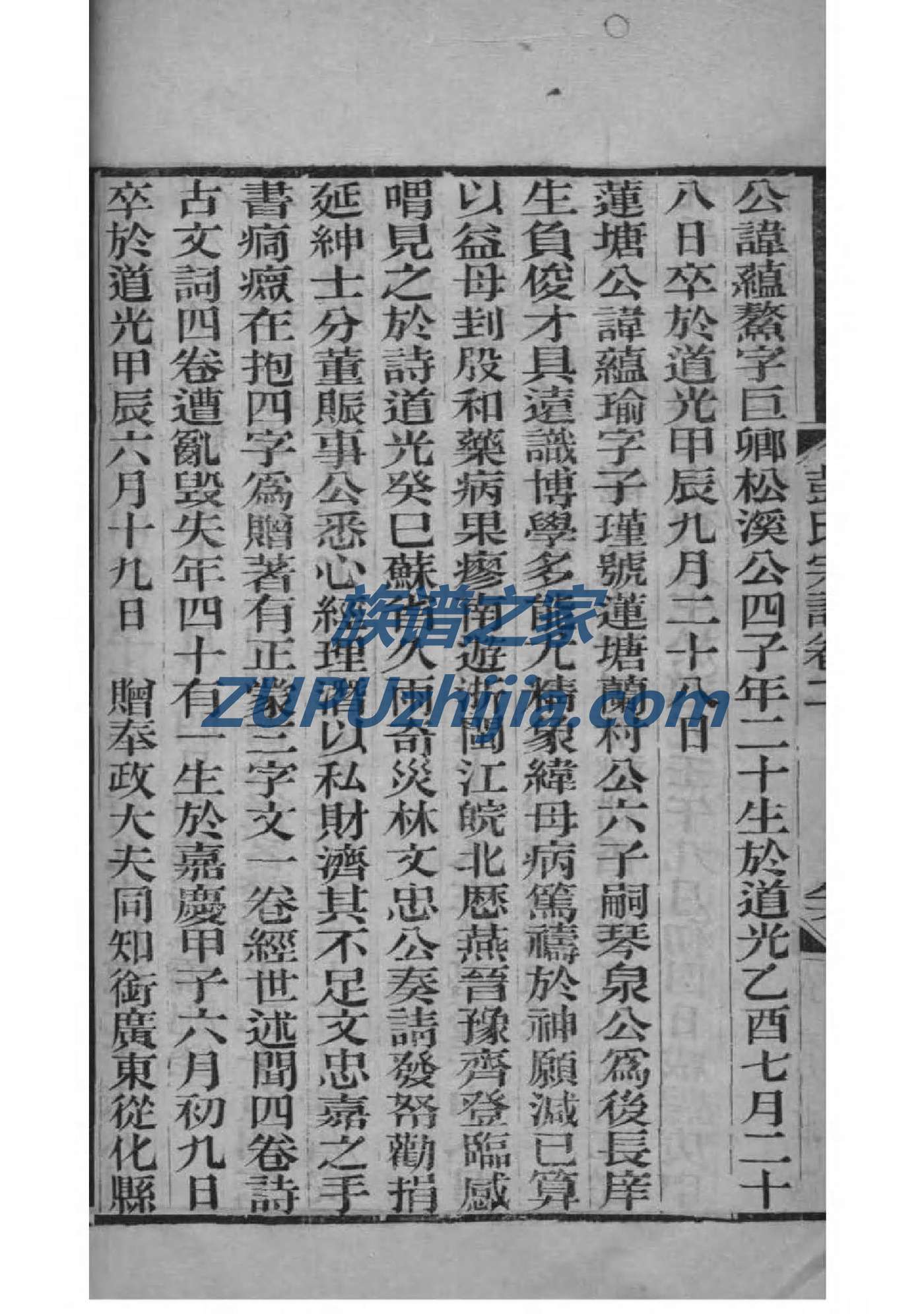任氏家谱完整篇