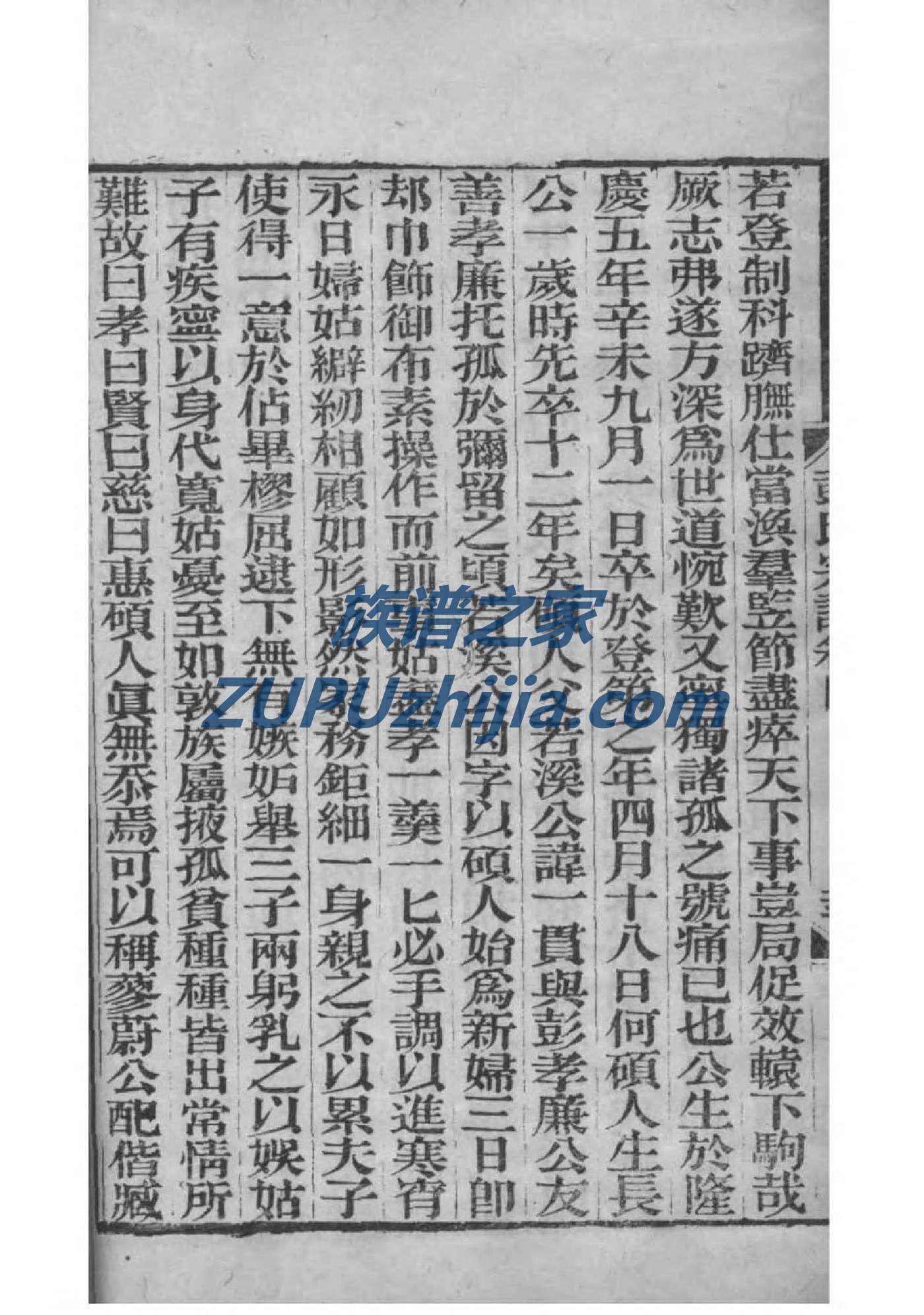 林氏族谱的图片