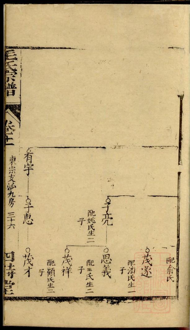 修族谱