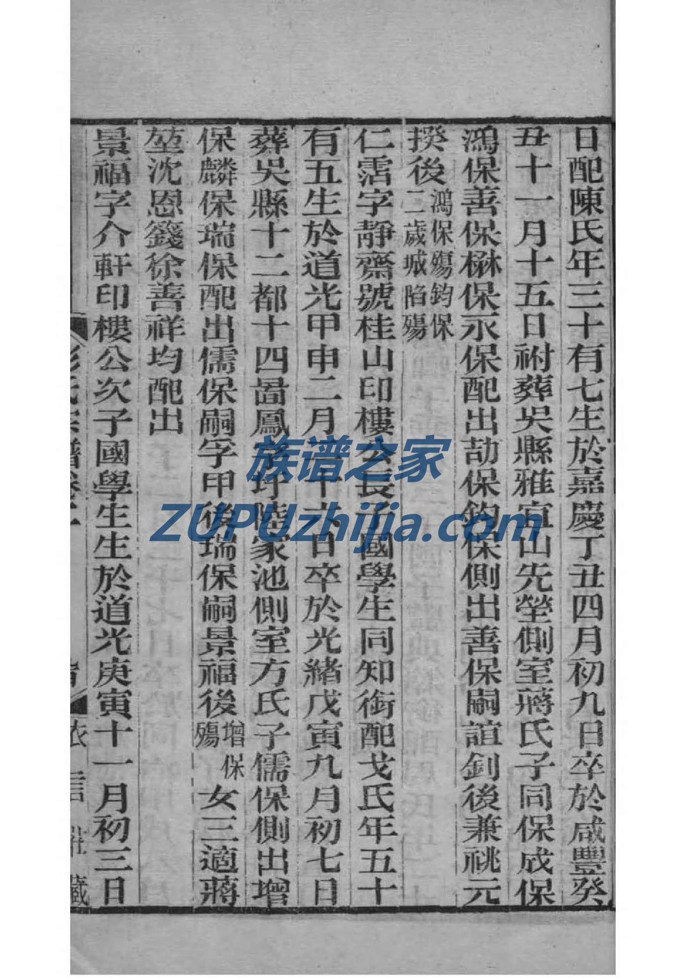红氏族谱完整版