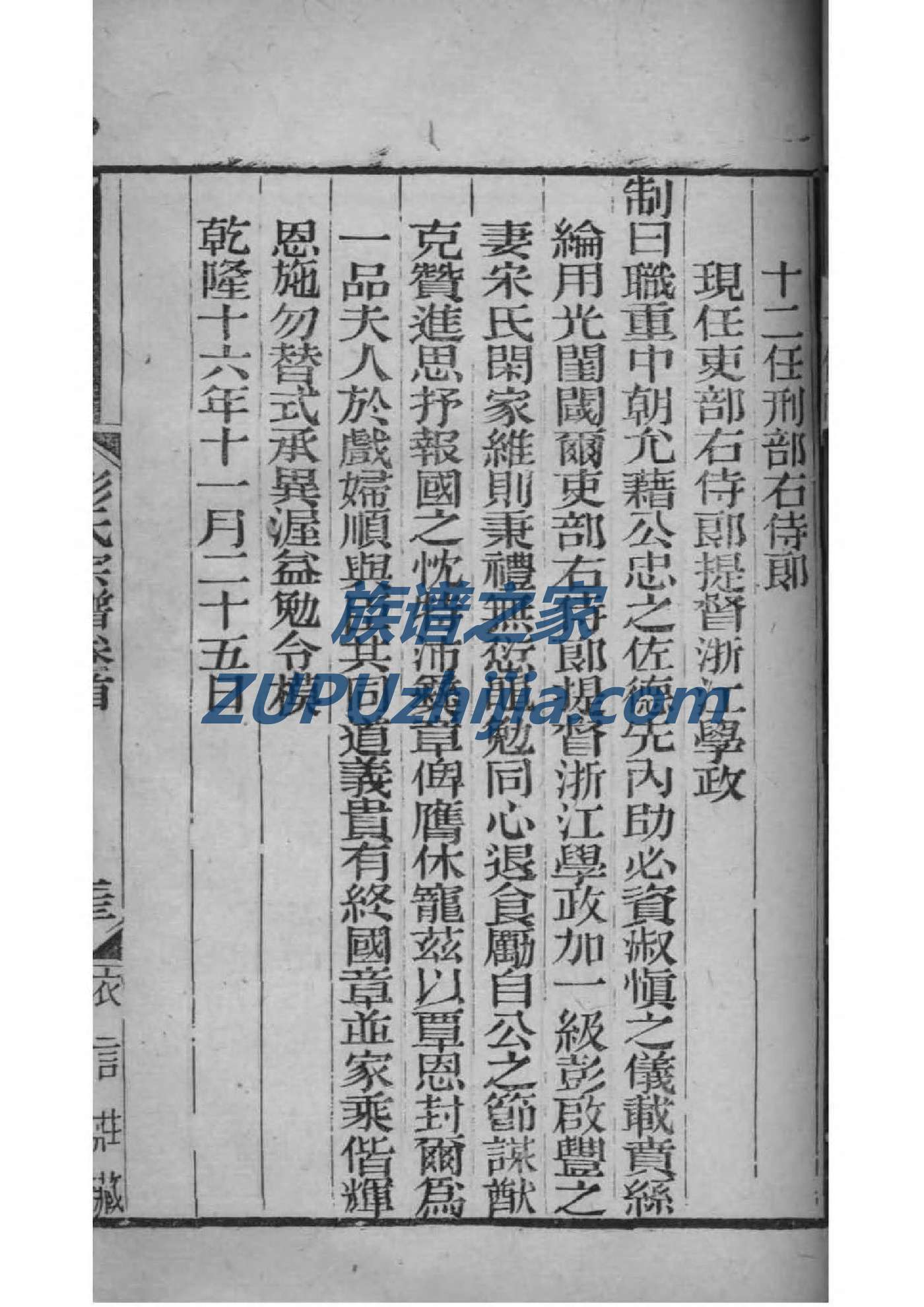 陶家族谱查询