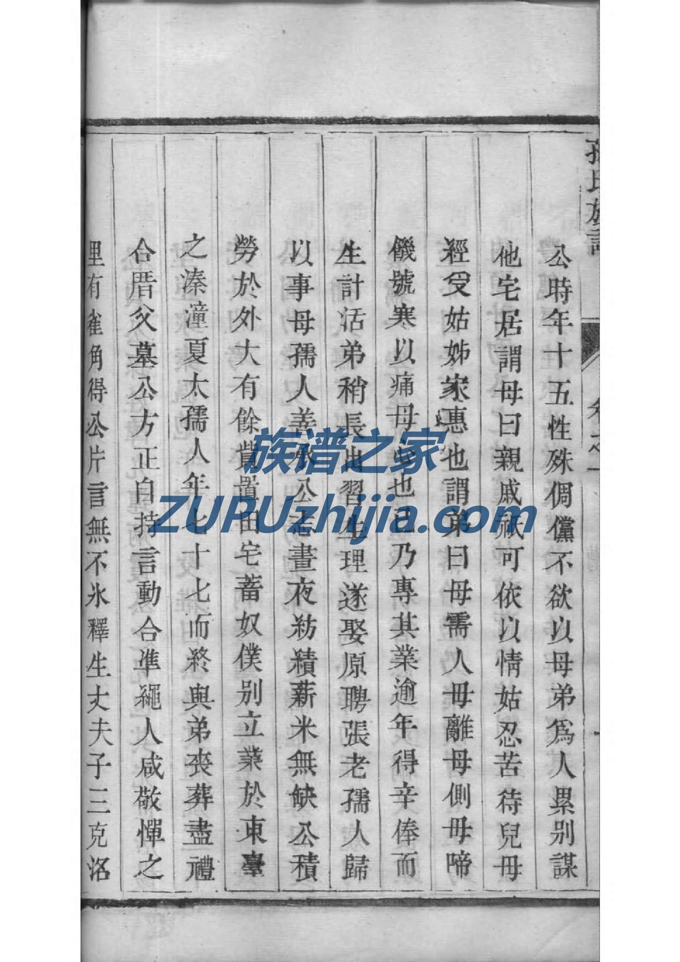 郏氏族谱辈分表