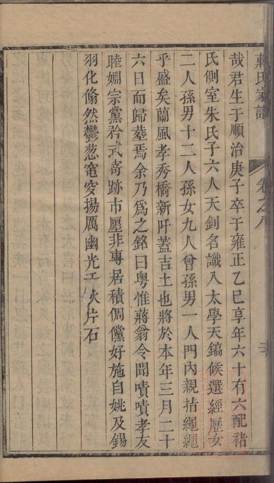 刘备族谱