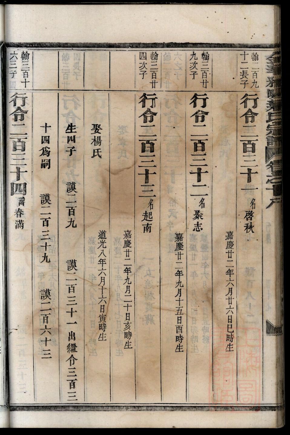 函家族谱查询