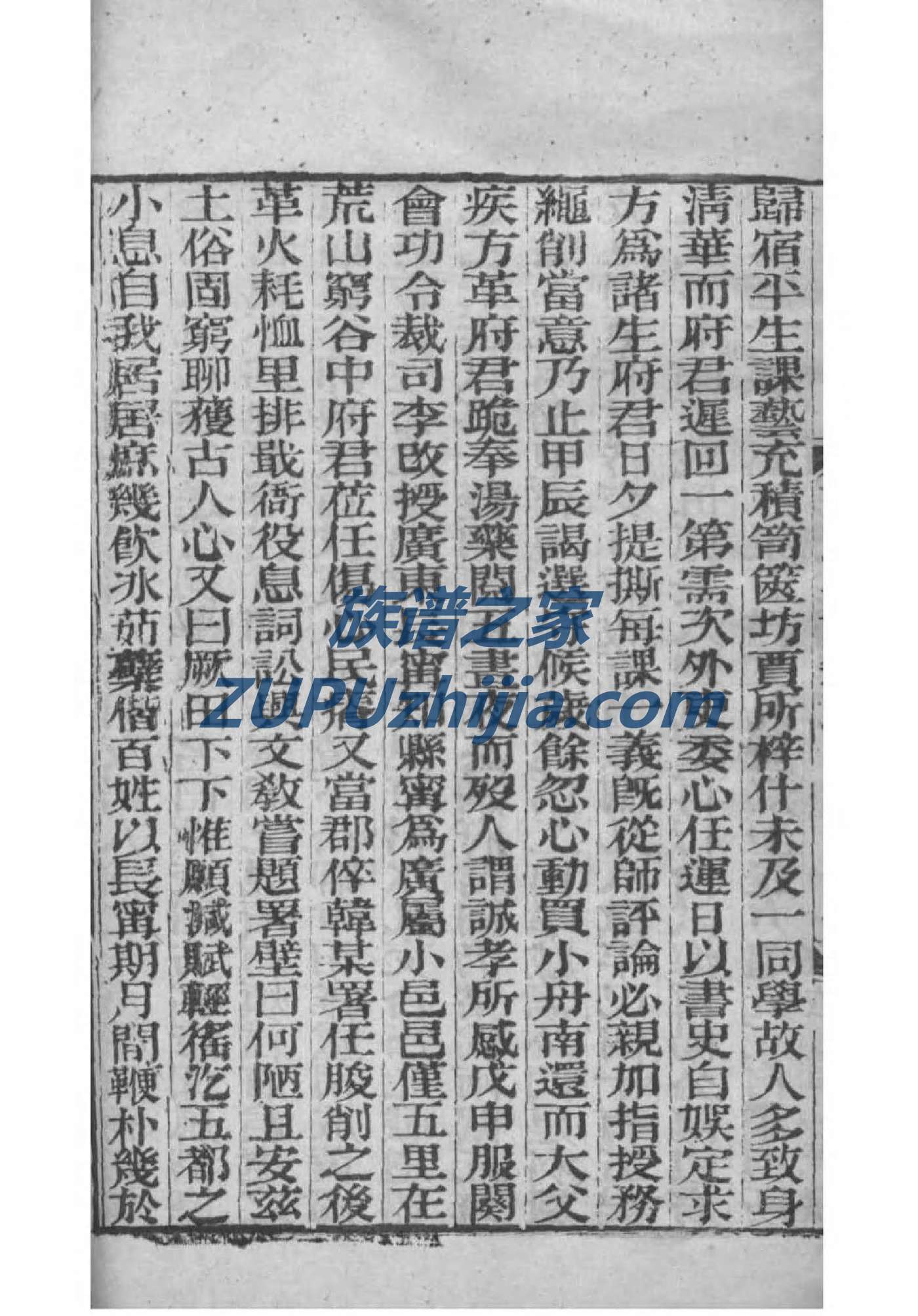 我的家族族谱