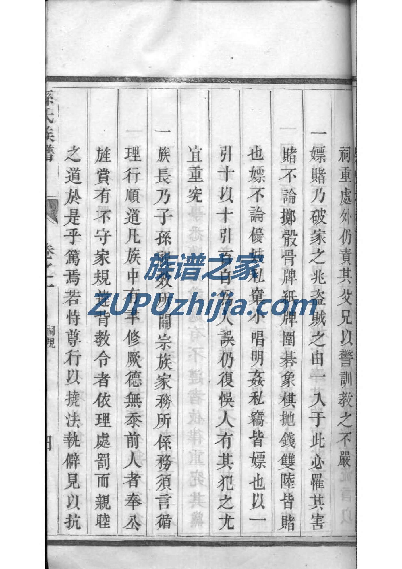 史氏族谱查询