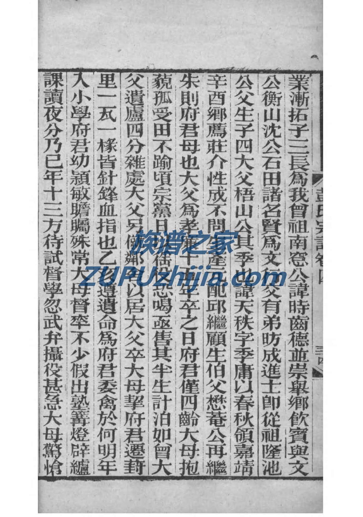 苦家族谱查询