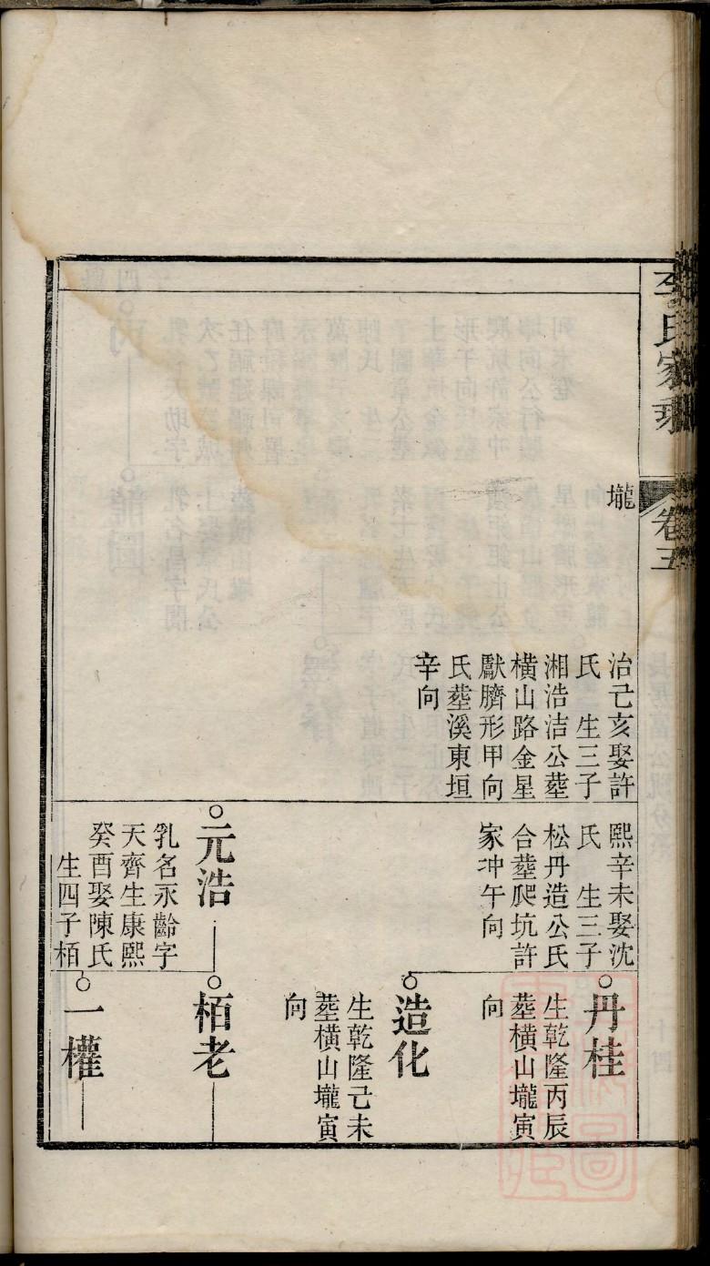 家谱制作样本WORD