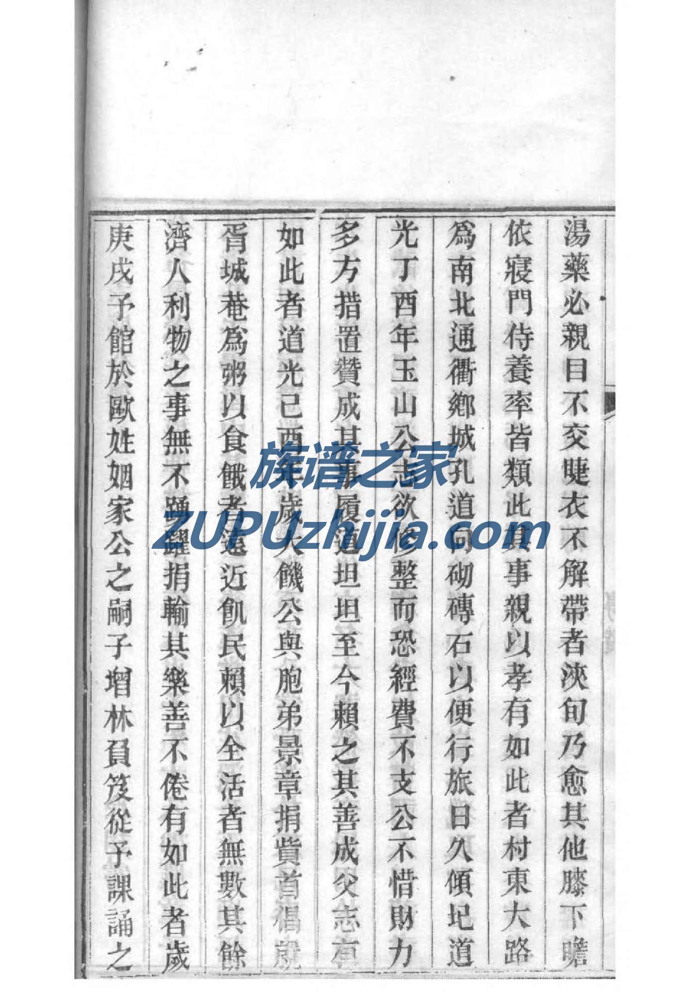 山东临沂沂水杨家族谱