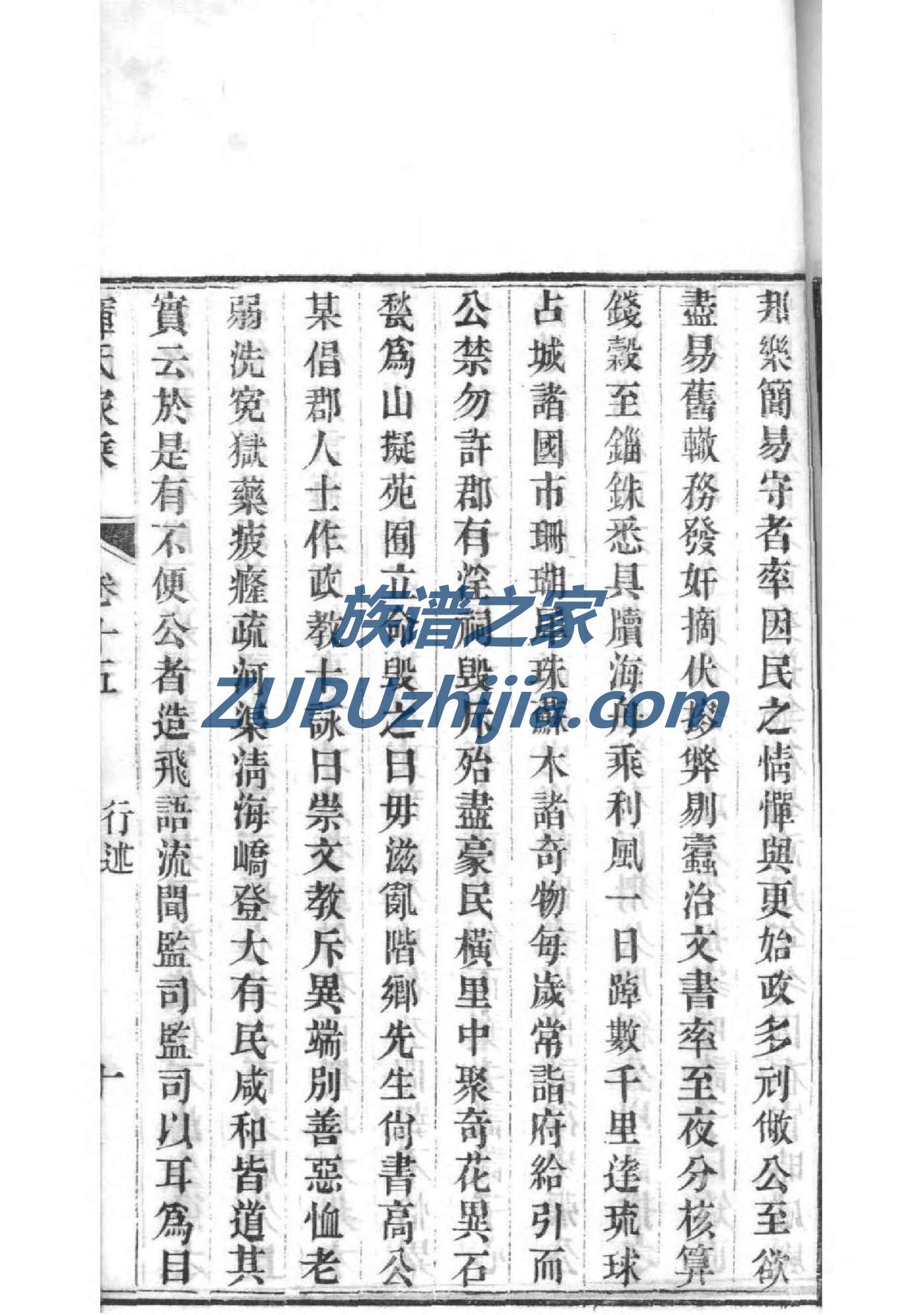 吉他族谱在线
