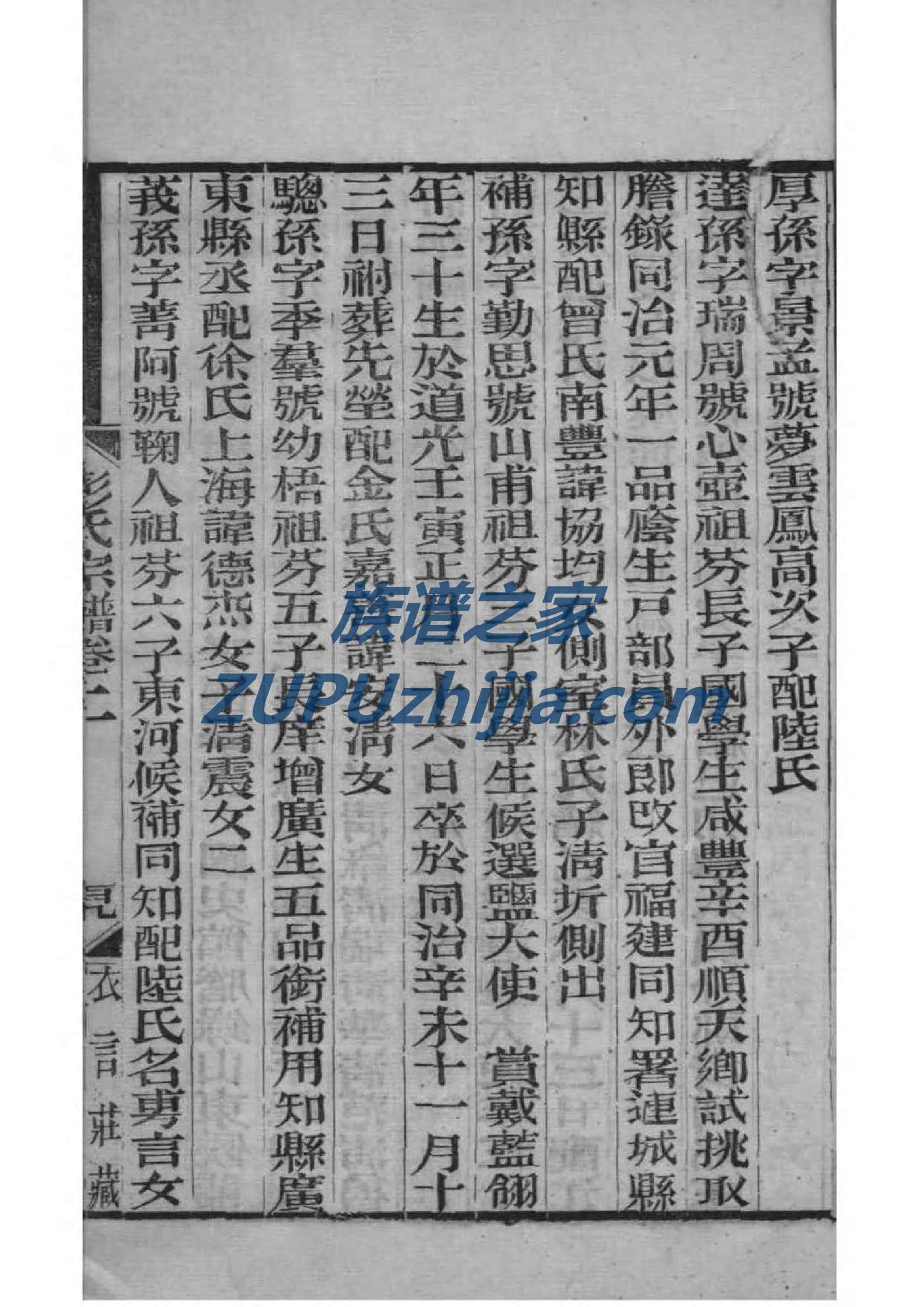 戎氏族谱序范本范文