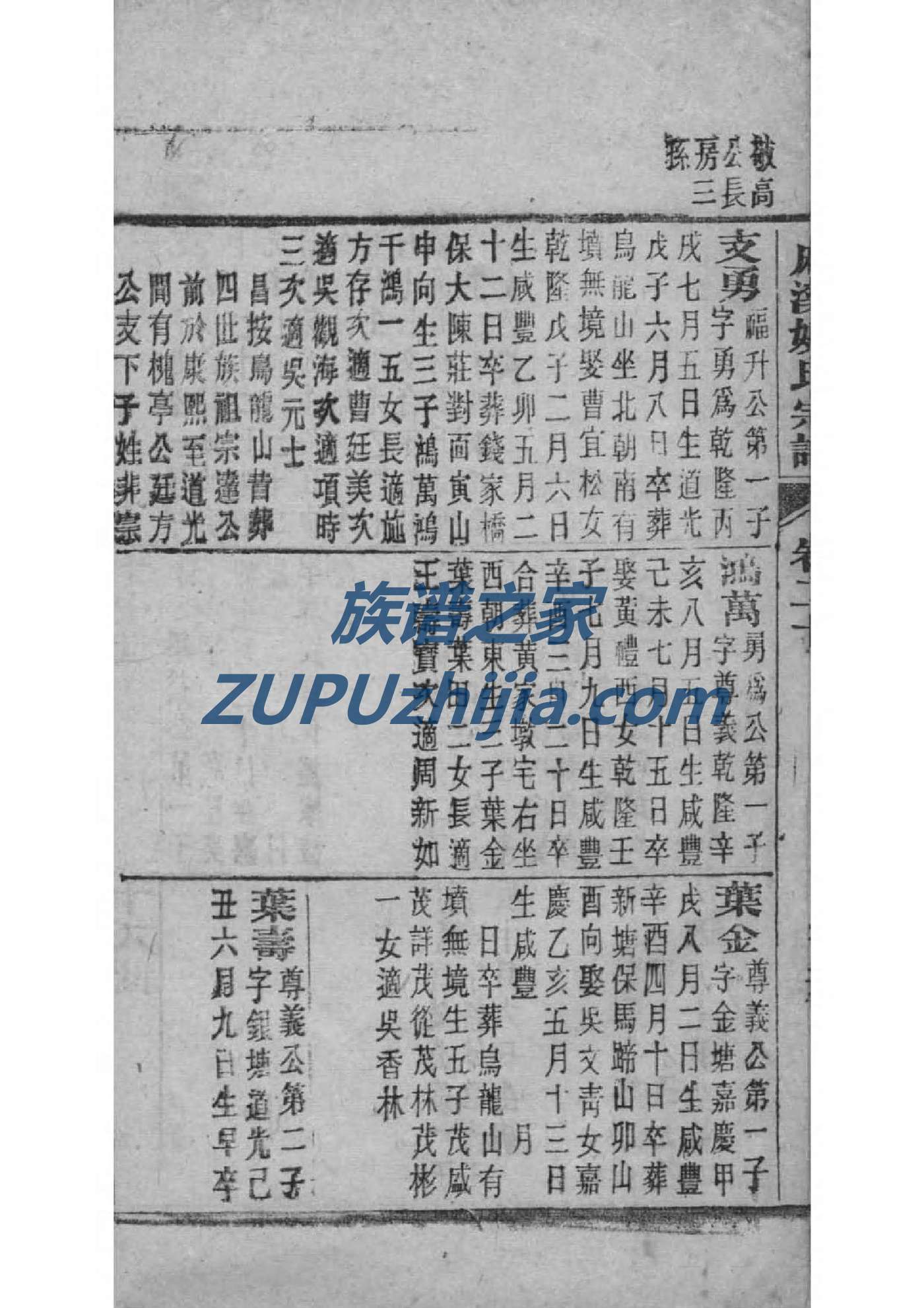 制作家谱APP