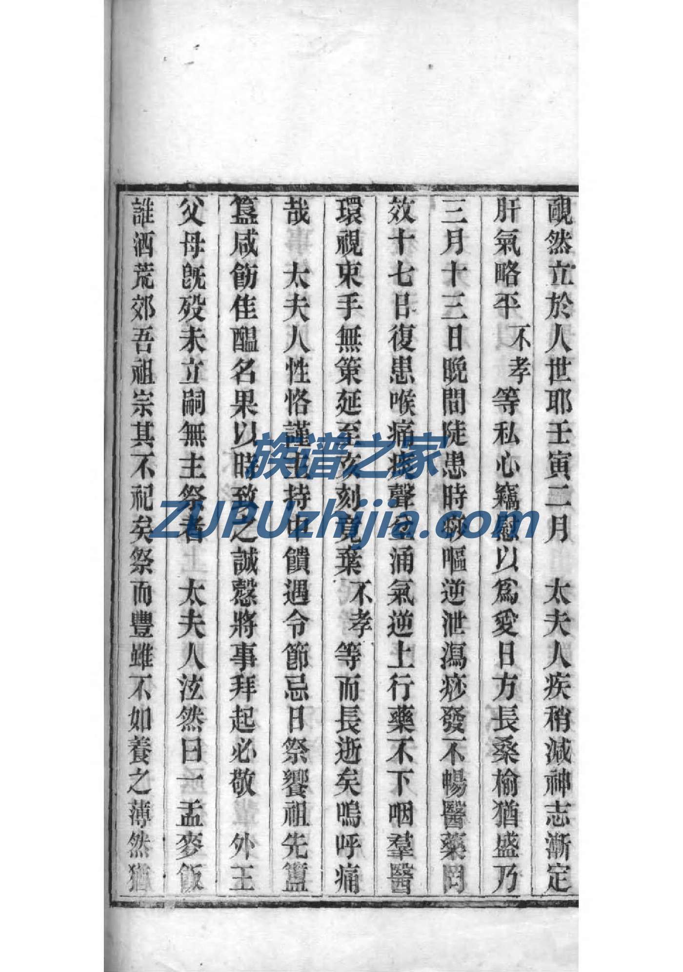 徐氏族谱142辈