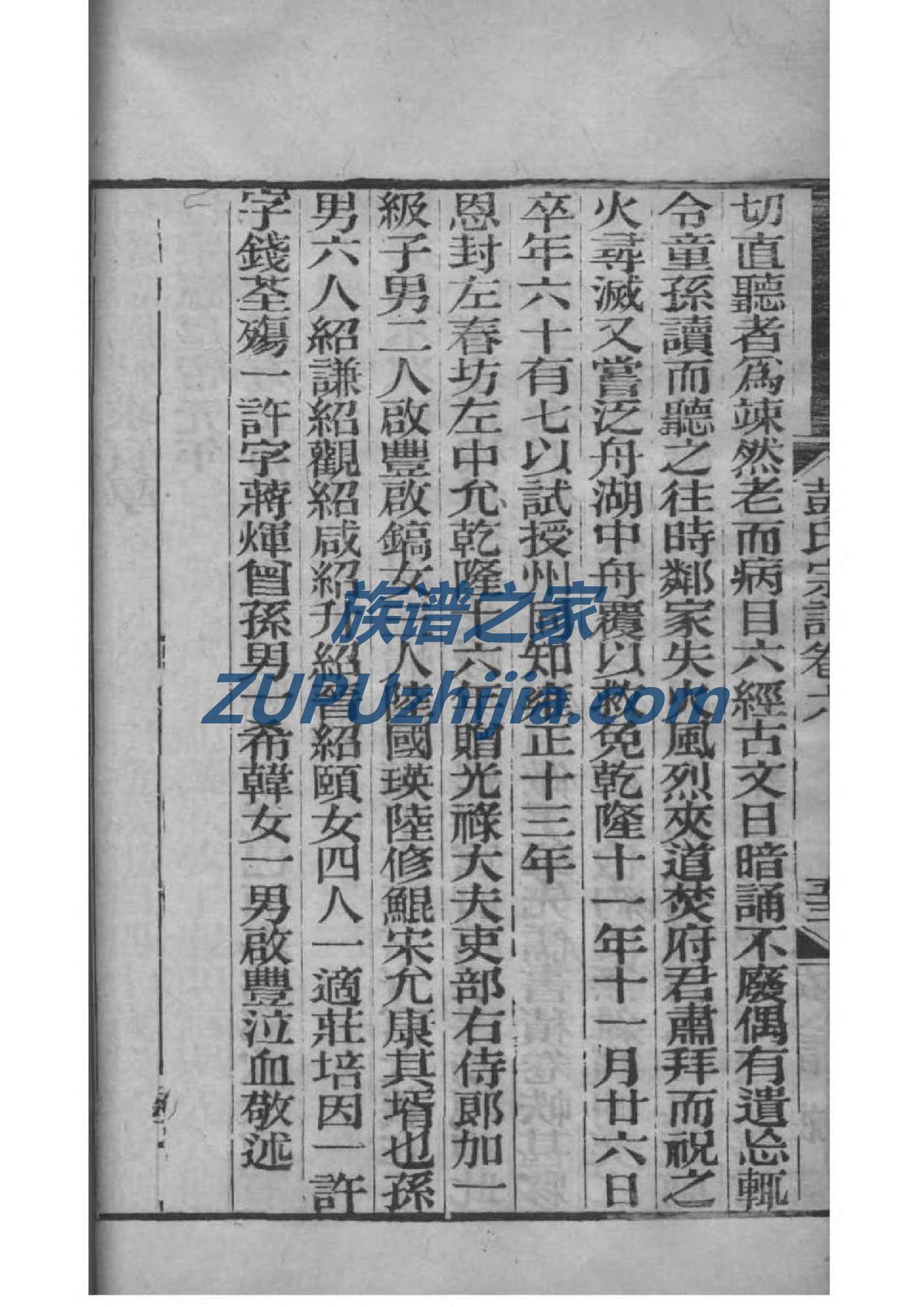 安家族谱查询