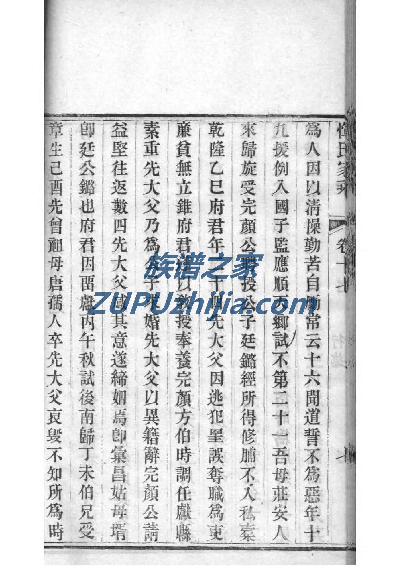 家谱设计