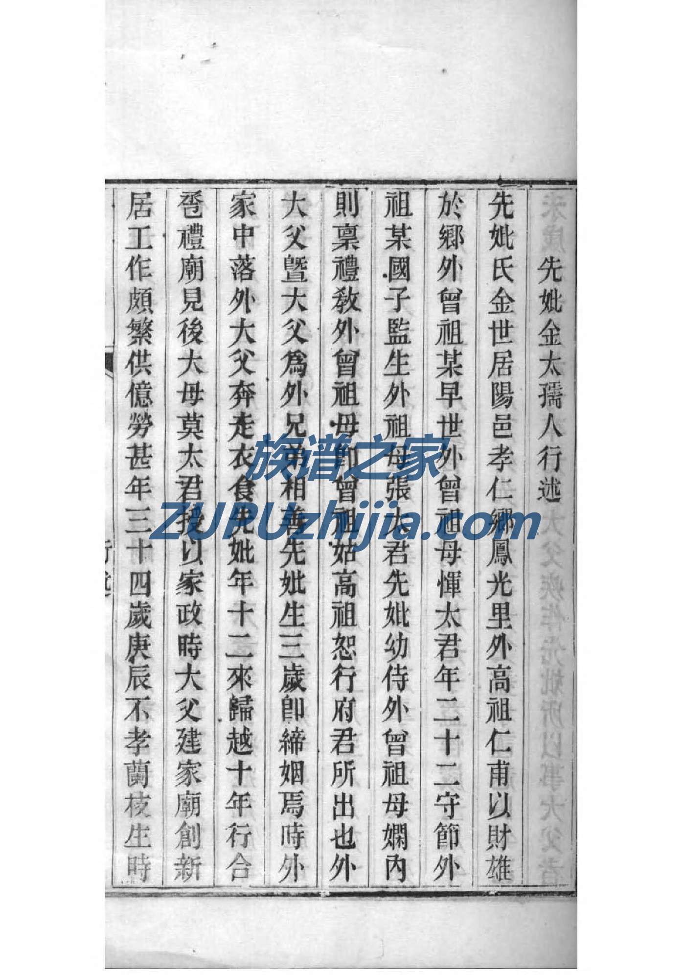 于氏族谱河南分支